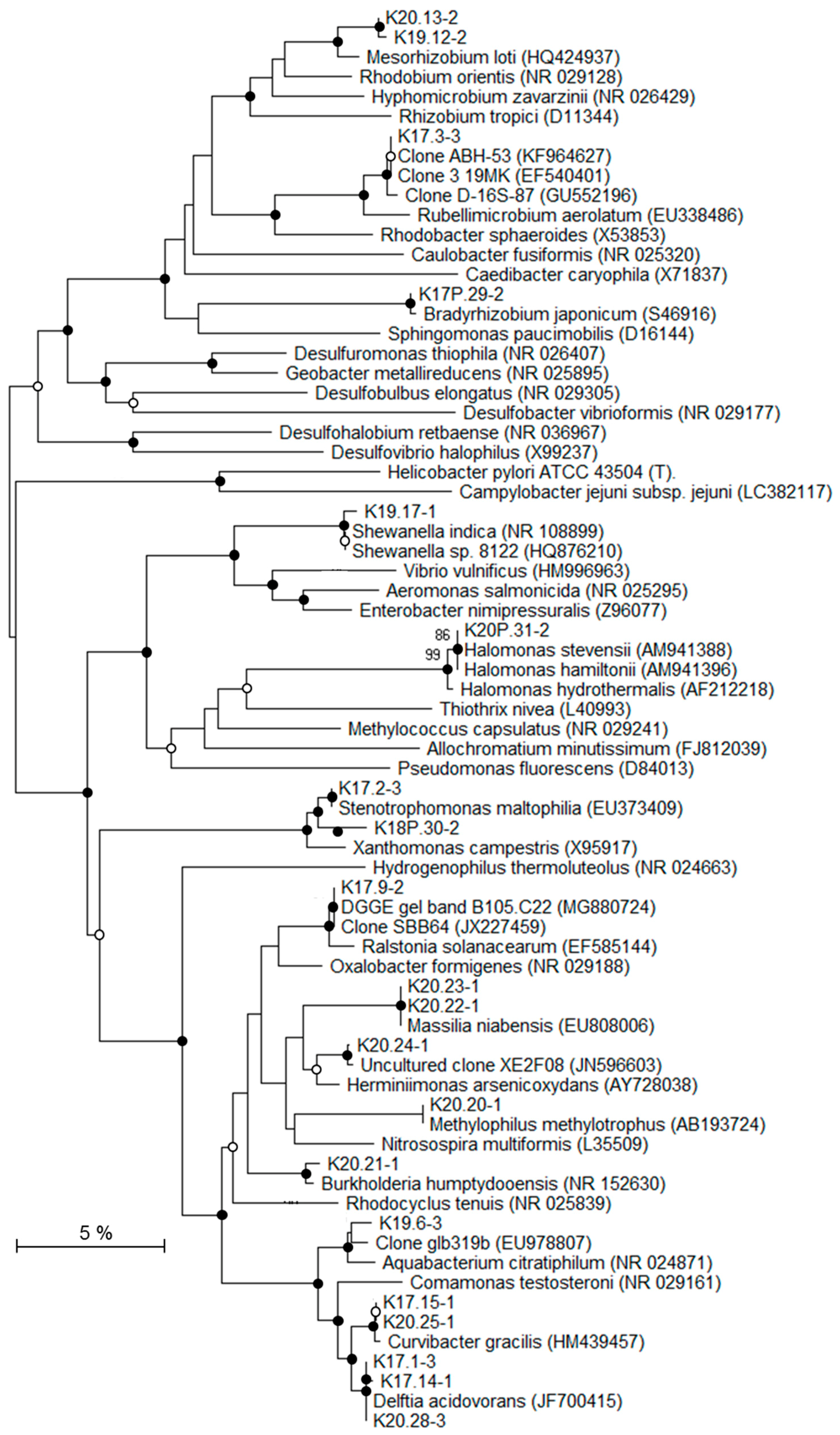 Geosciences 09 00003 g006