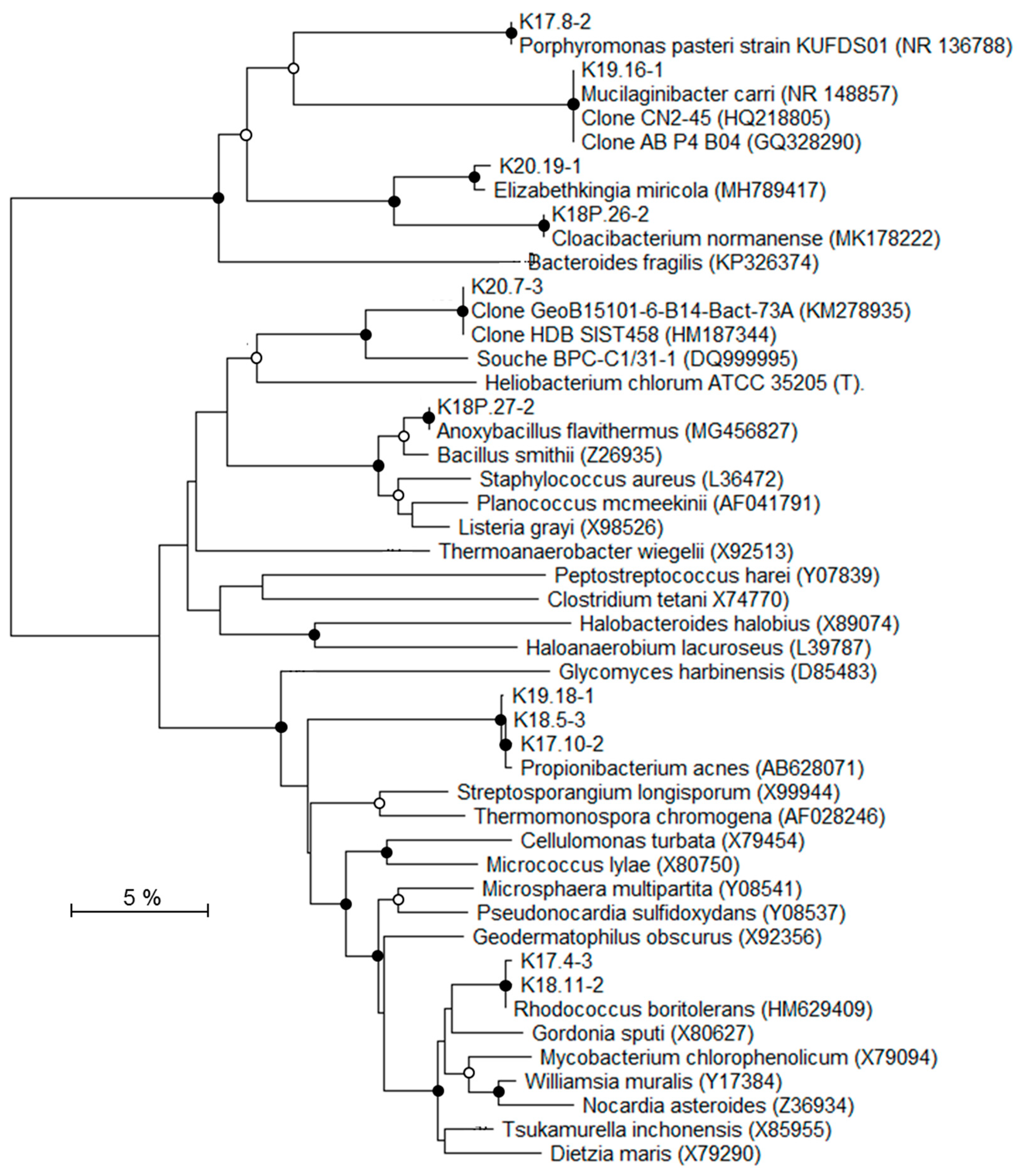 Geosciences 09 00003 g007
