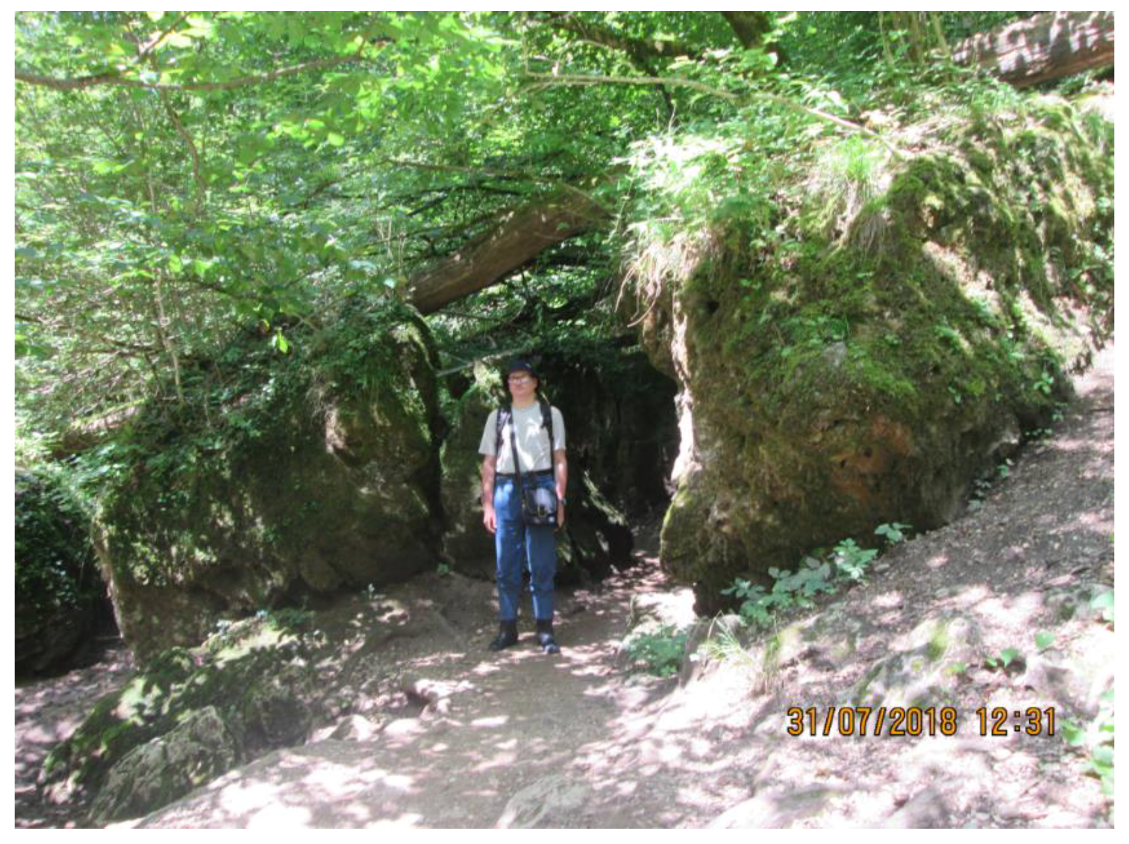 Geosciences 09 00014 g001