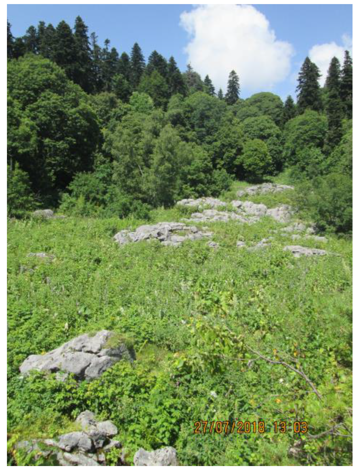 Geosciences 09 00014 g006