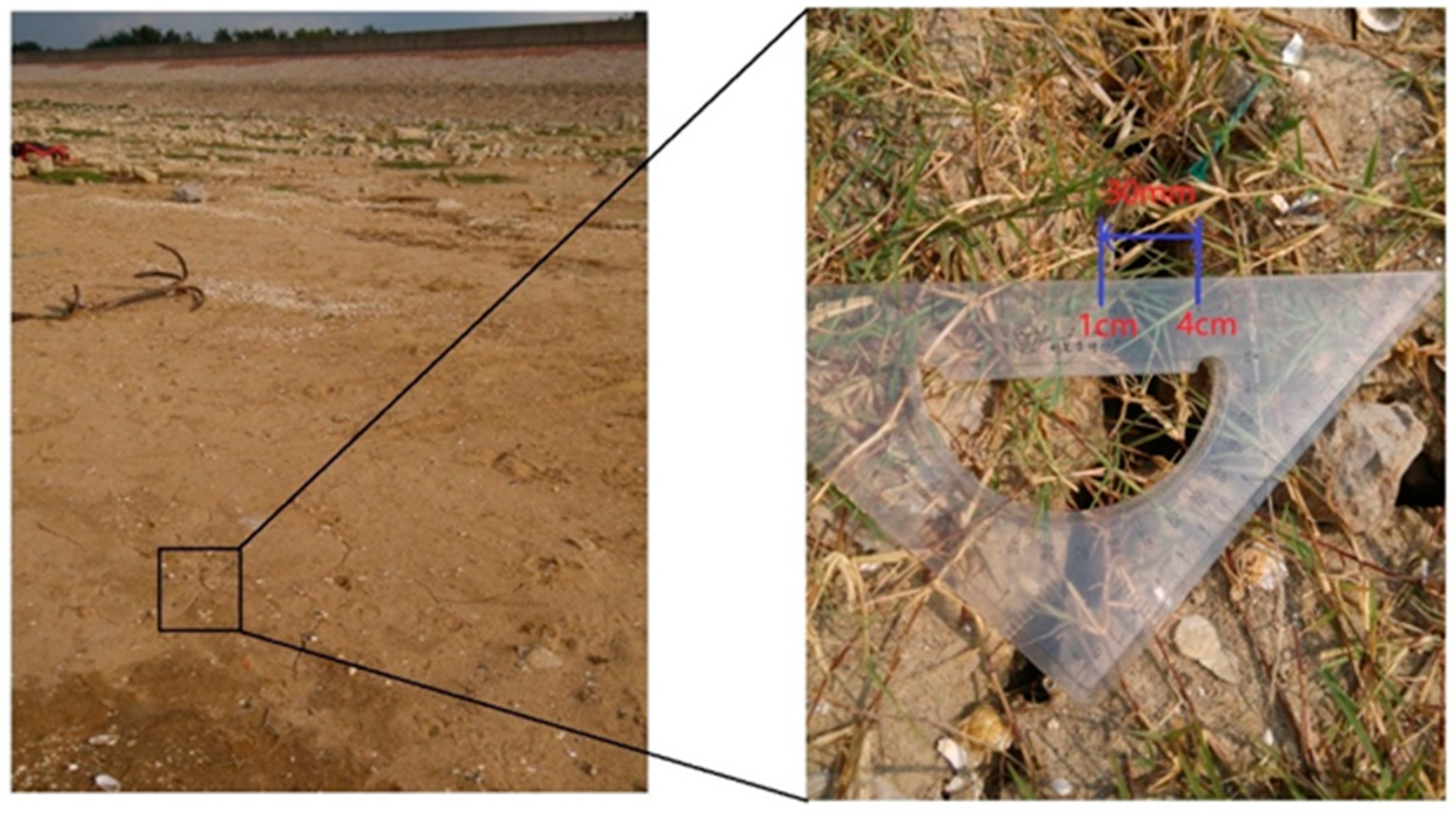 Geosciences 09 00017 g004