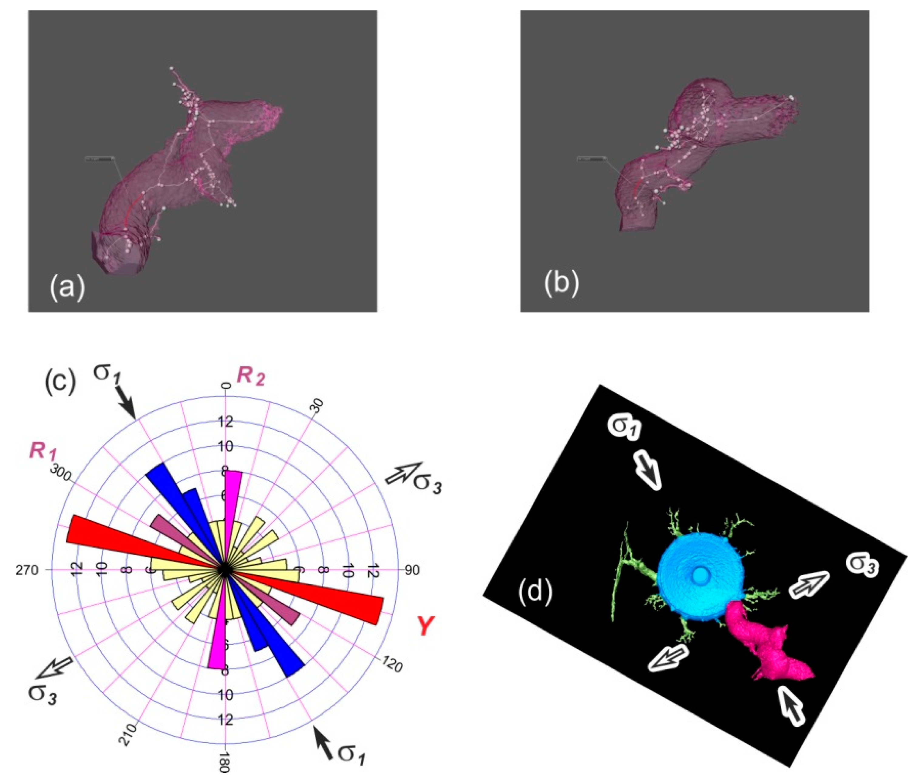 Geosciences 09 00033 g012