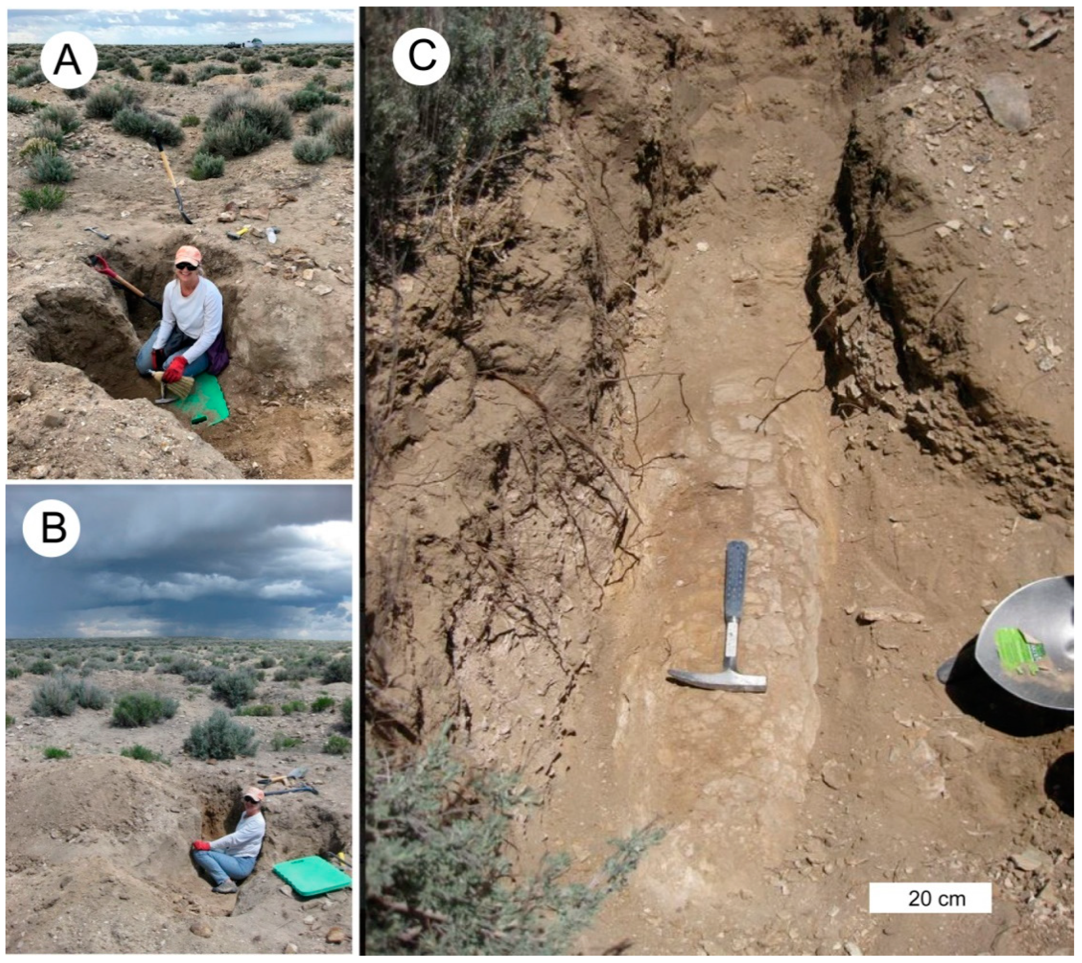 Geosciences 09 00035 g005 Geosciences 09 00035 g005