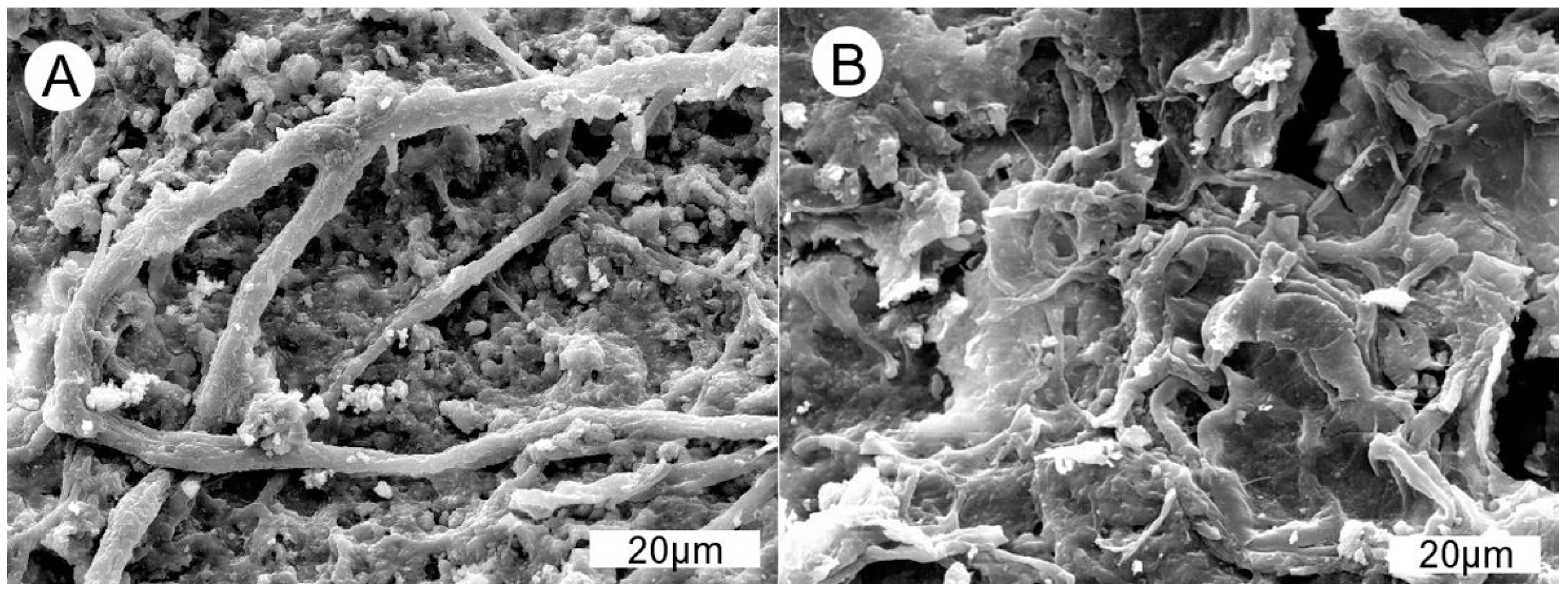 Geosciences 09 00035 g009 Geosciences 09 00035 g009