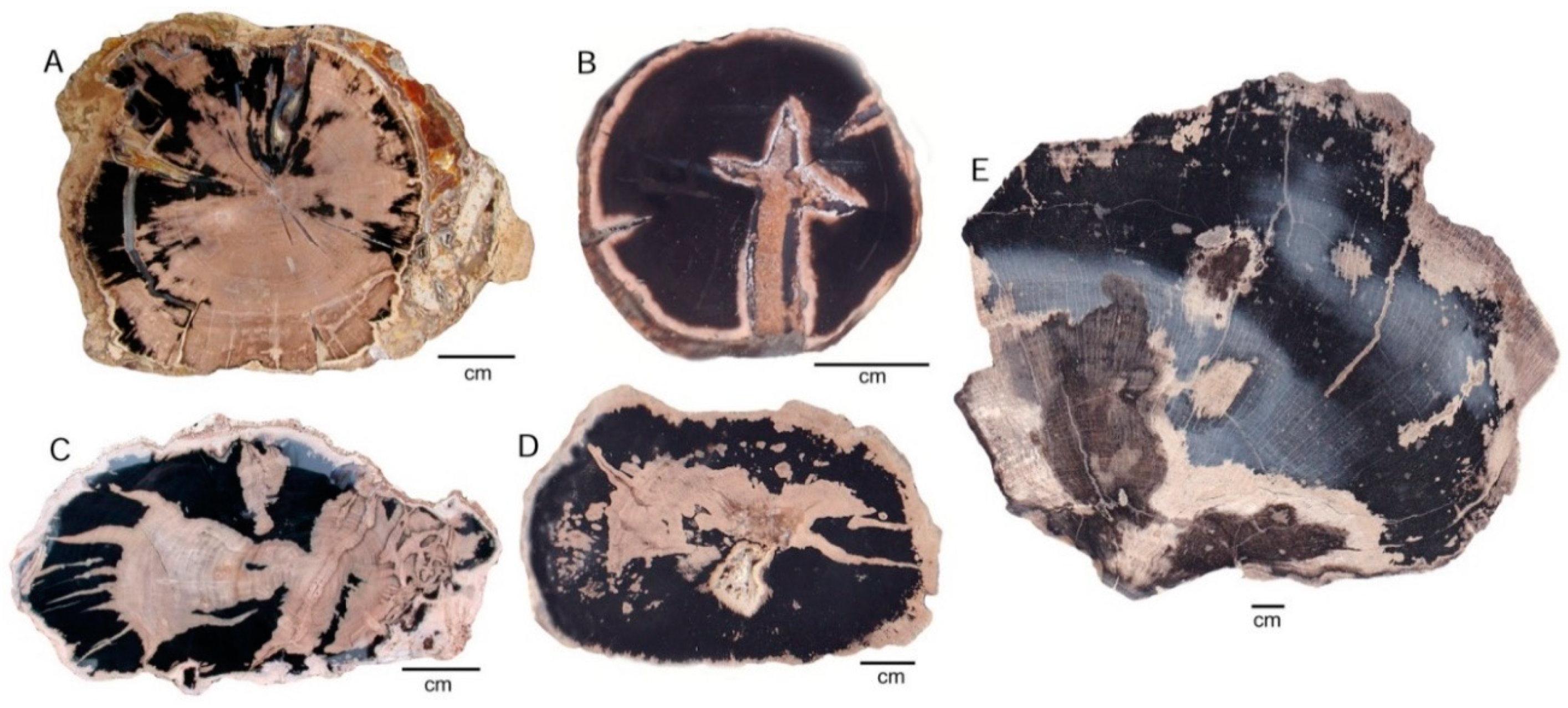 Geosciences 09 00035 g016 Geosciences 09 00035 g016