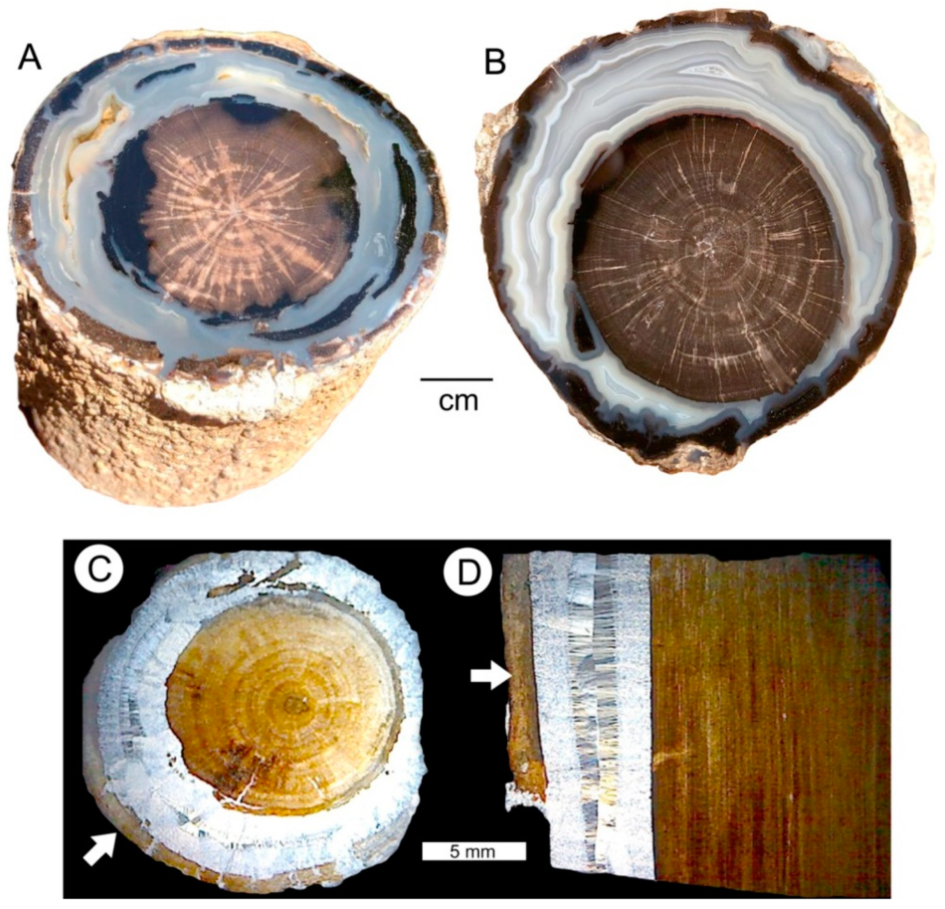Geosciences 09 00035 g017 Geosciences 09 00035 g017