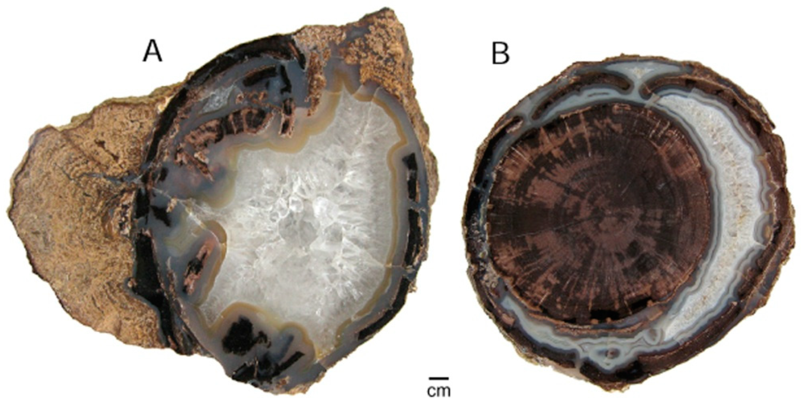 Geosciences 09 00035 g020 Geosciences 09 00035 g020