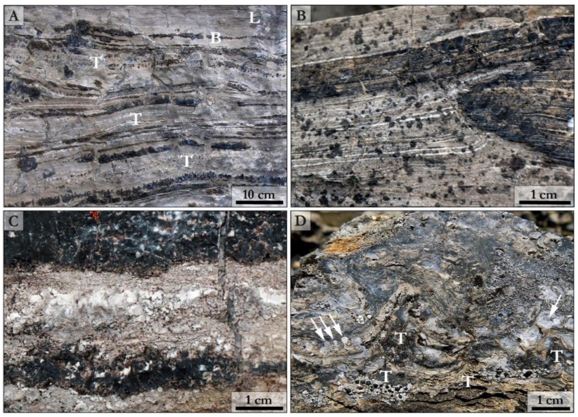 Geosciences 09 00040 g002