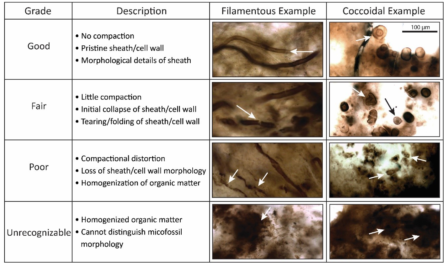 Geosciences 09 00040 g005