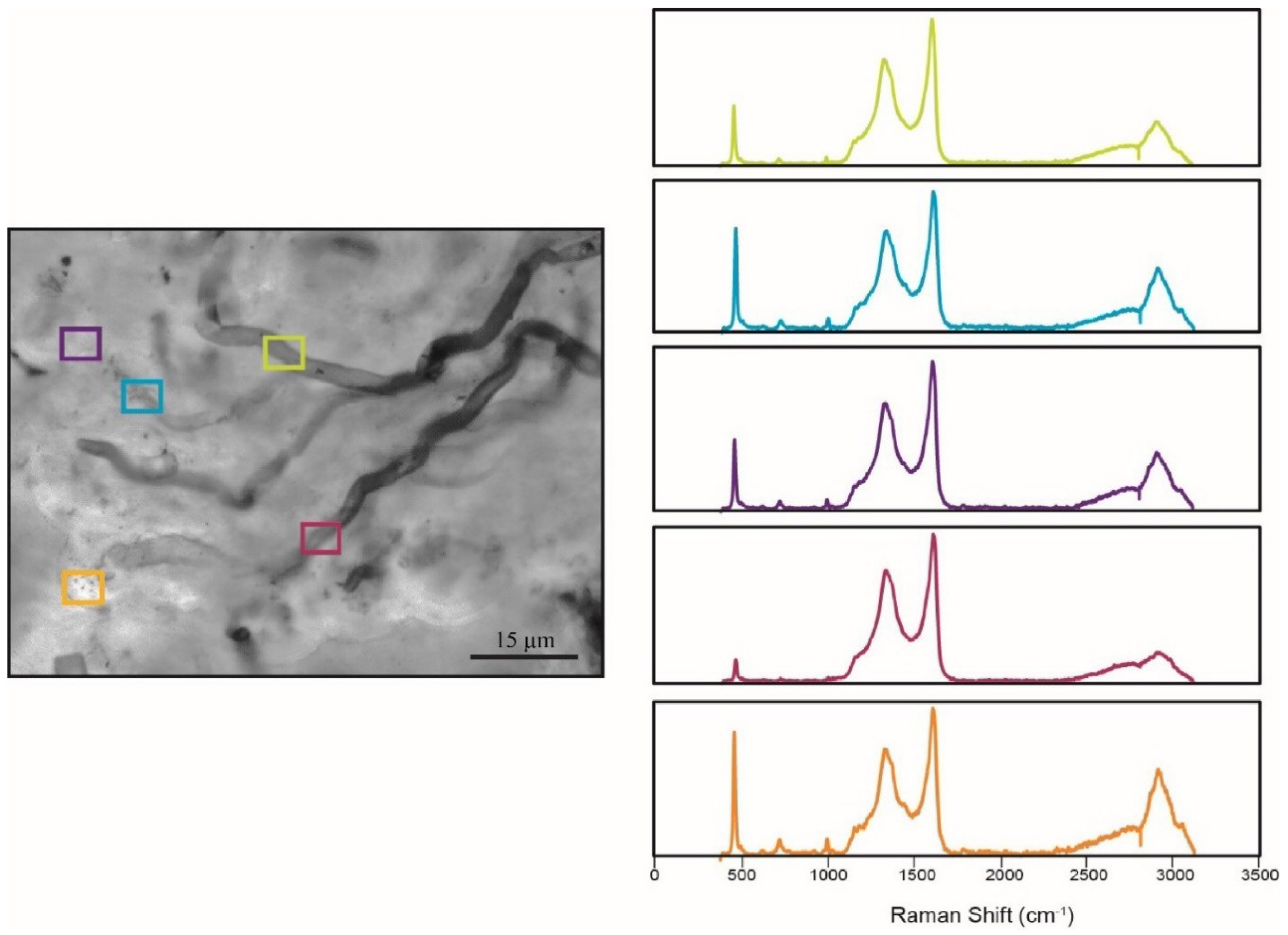 Geosciences 09 00040 g019