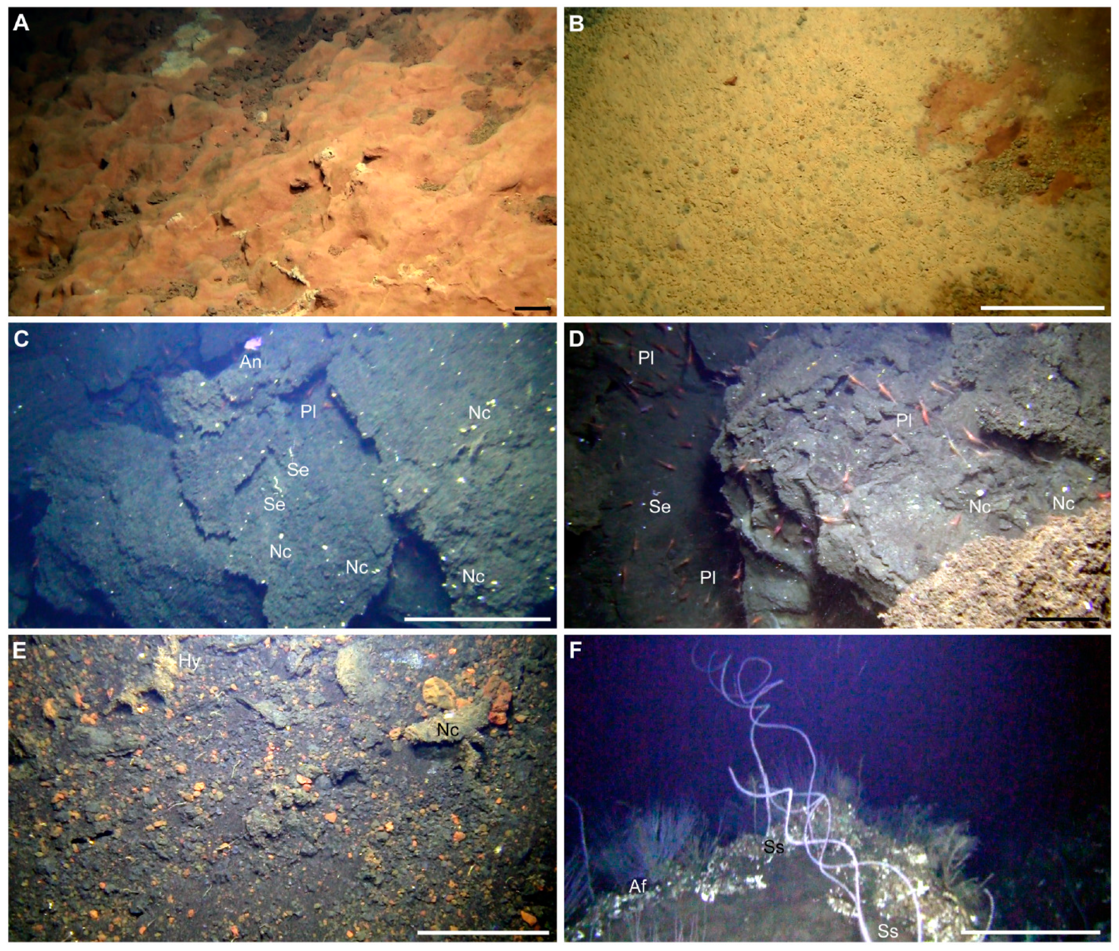 Geosciences 09 00052 g005