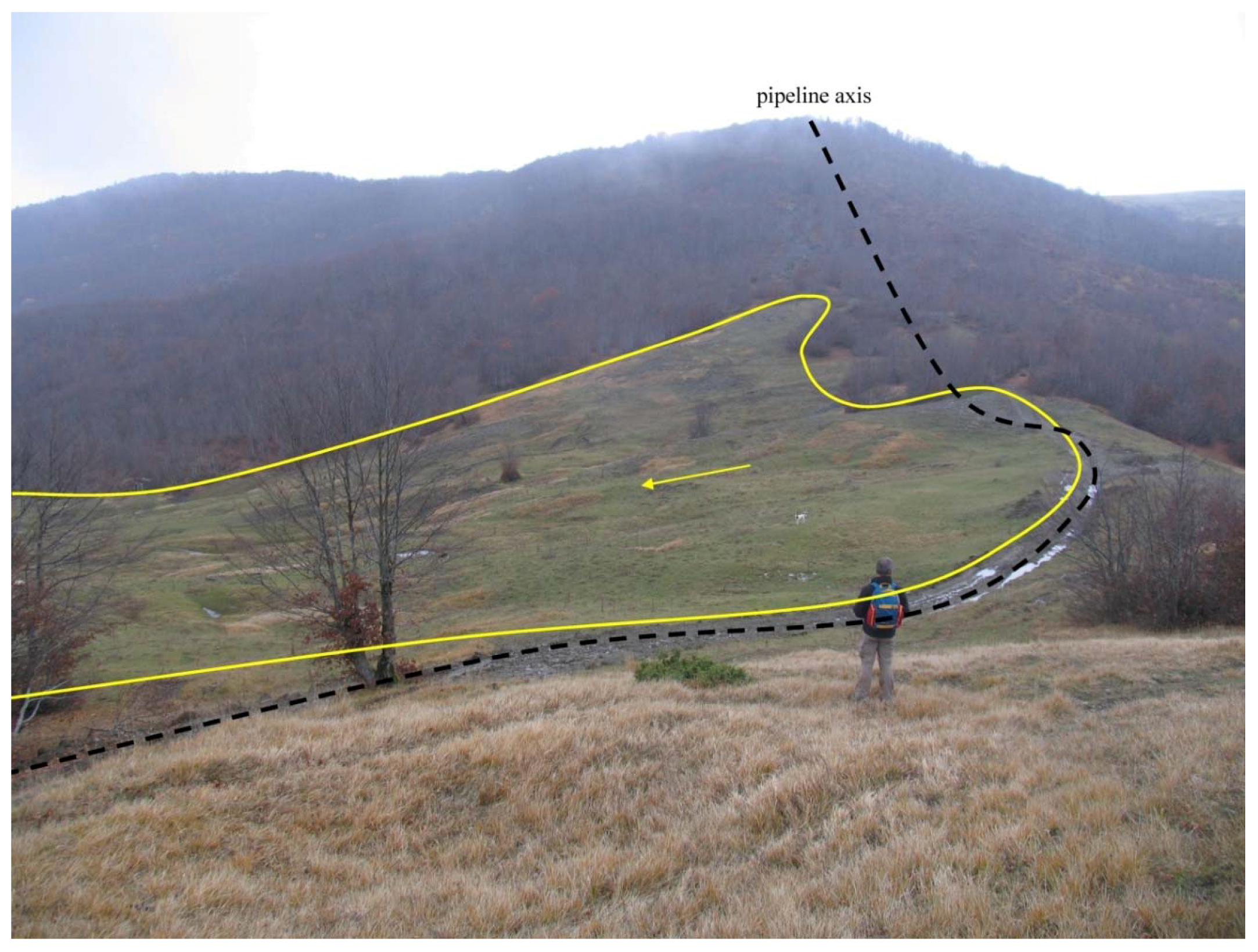 Geosciences 09 00061 g019