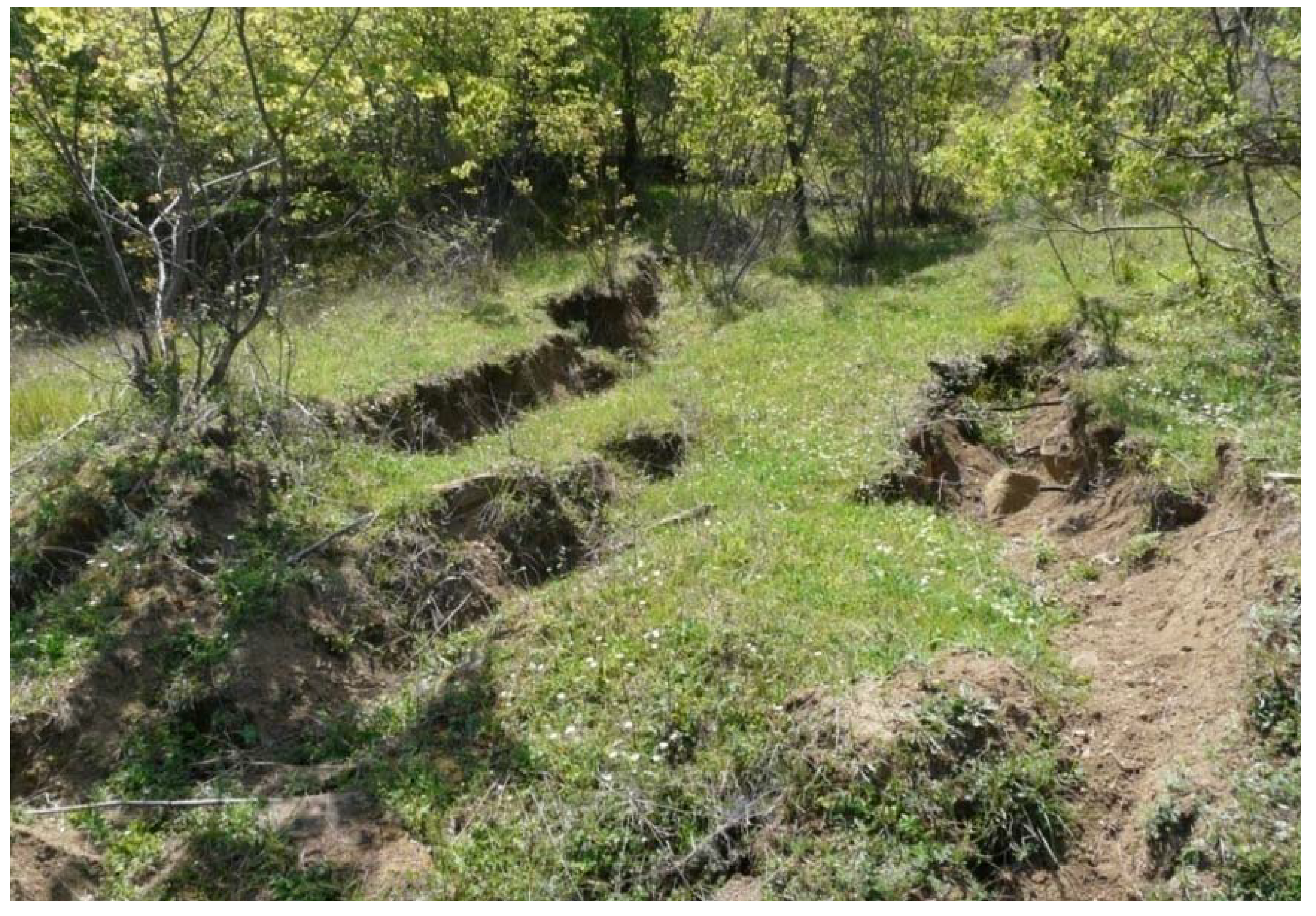 Geosciences 09 00061 g021