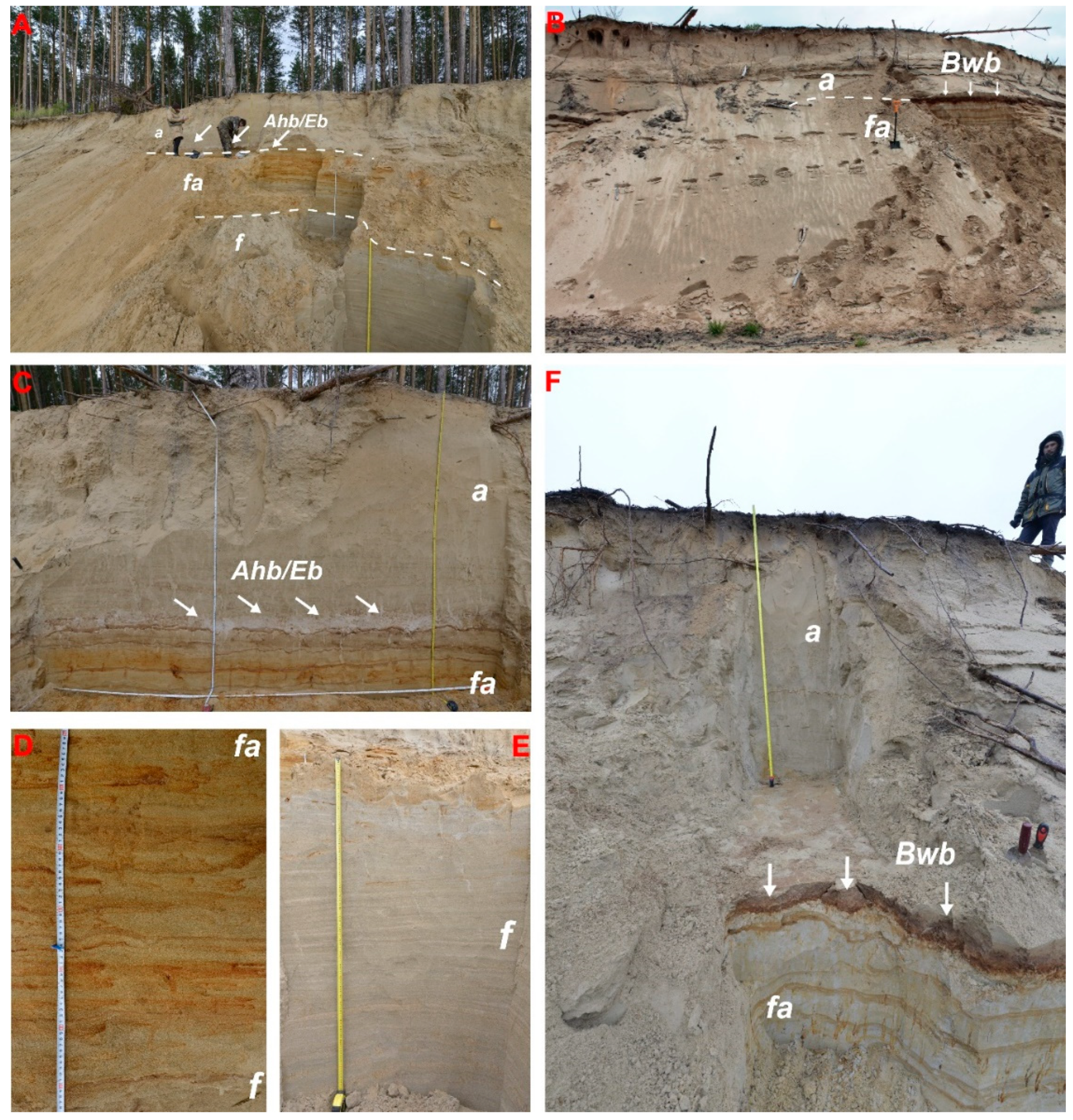Geosciences 09 00082 g004