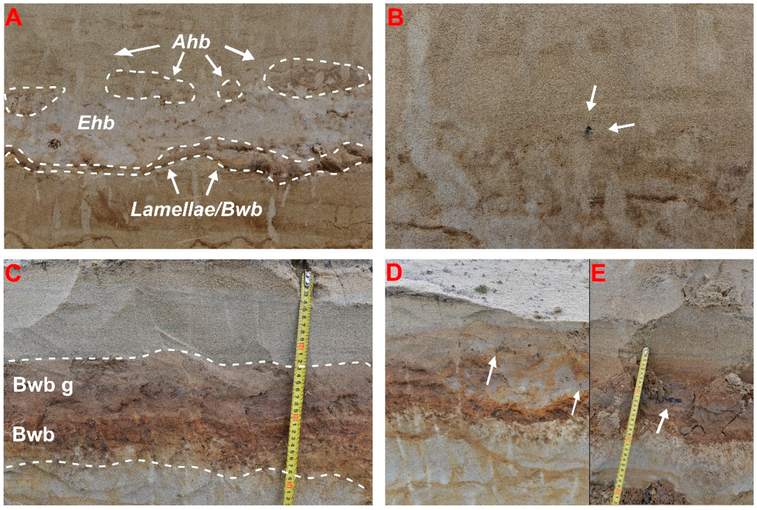 Geosciences 09 00082 g005