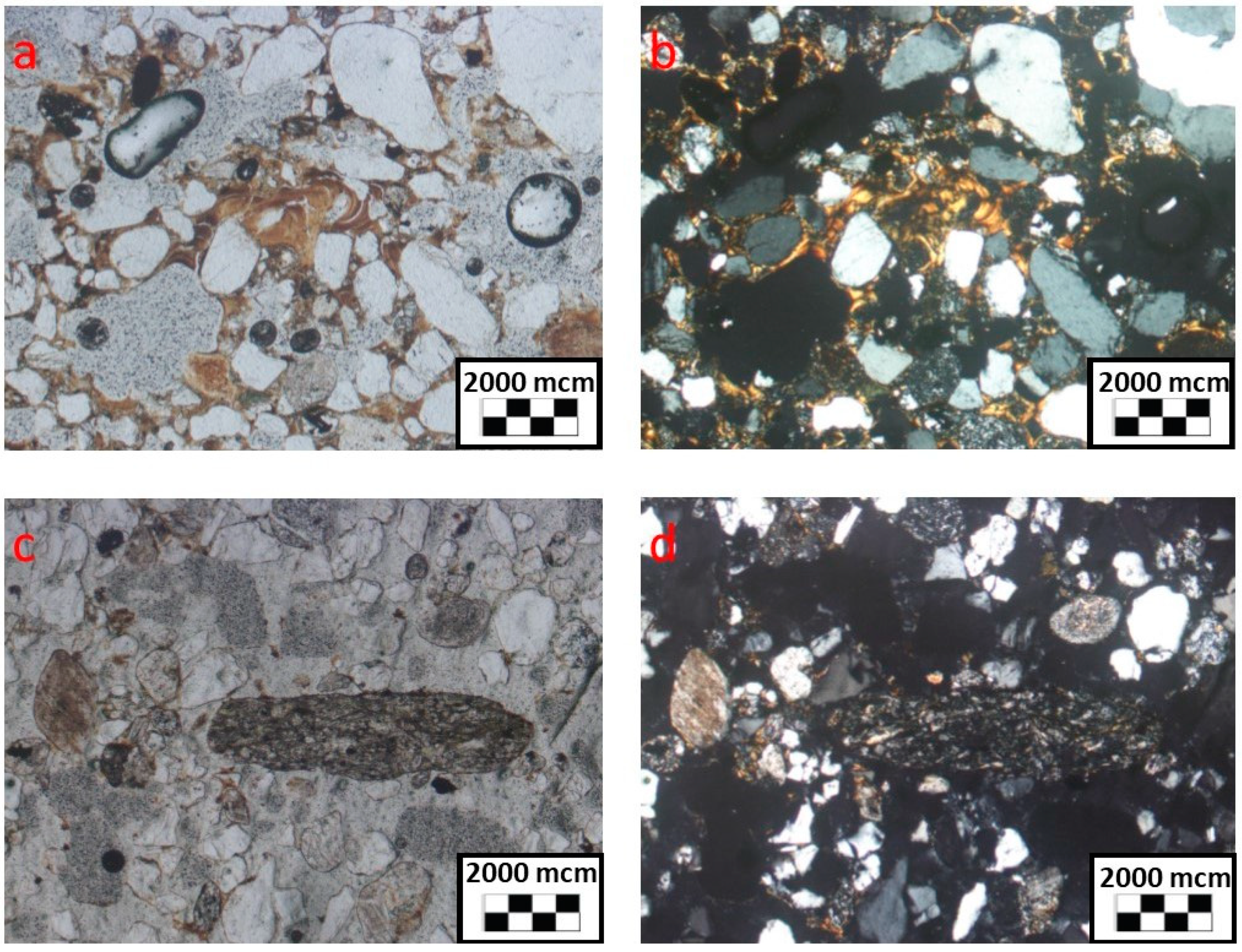 Geosciences 09 00082 g007