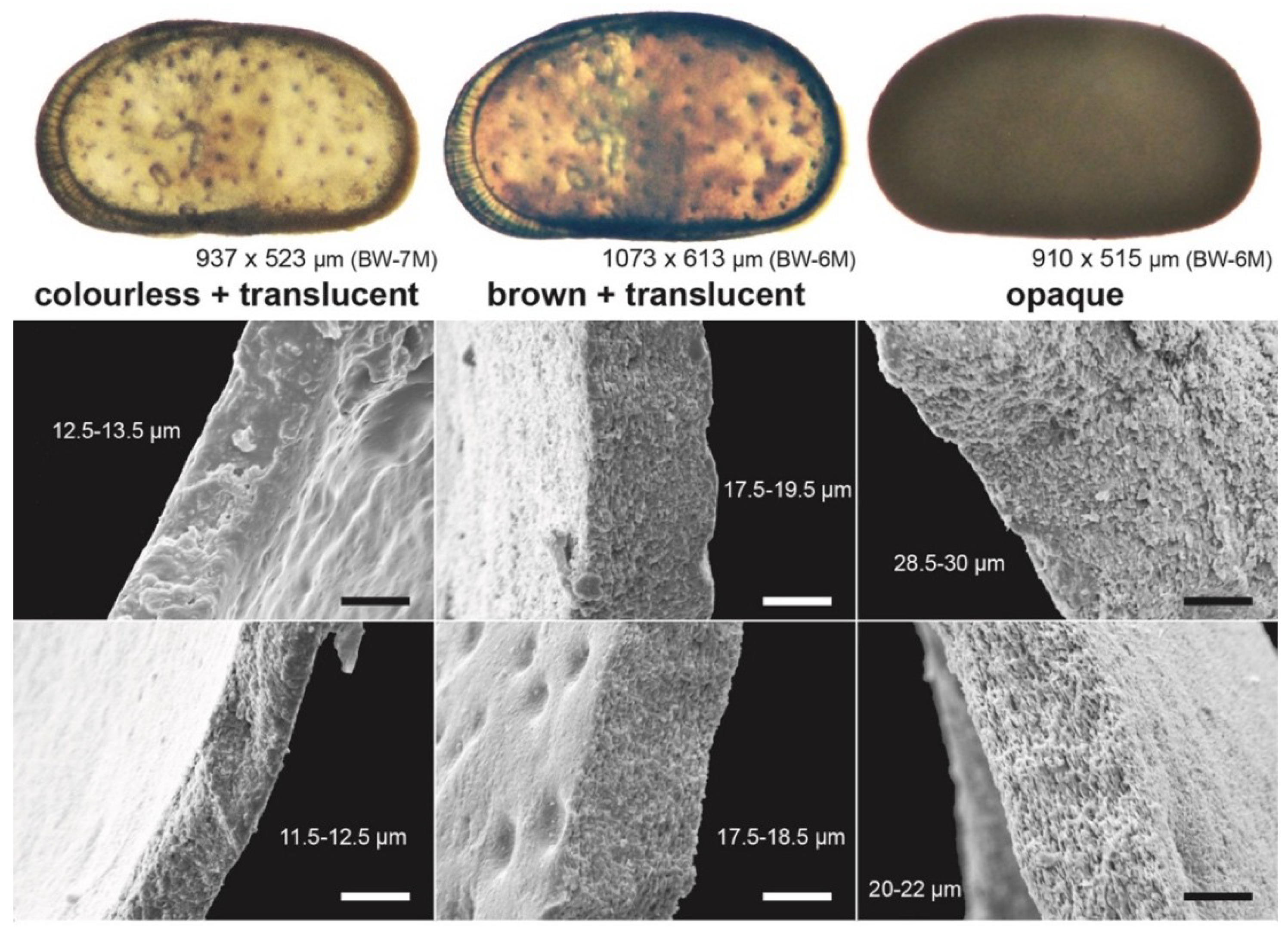 Geosciences 09 00083 g003