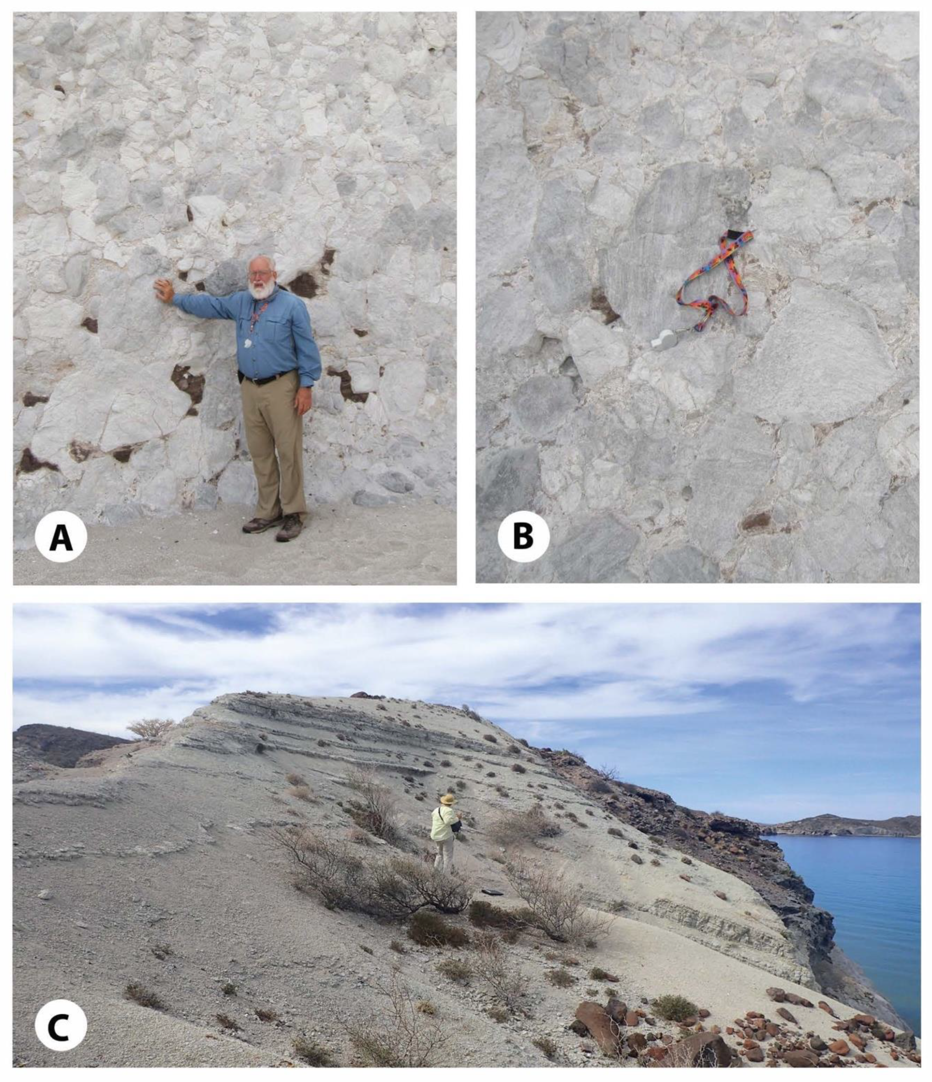 Geosciences 09 00087 g003