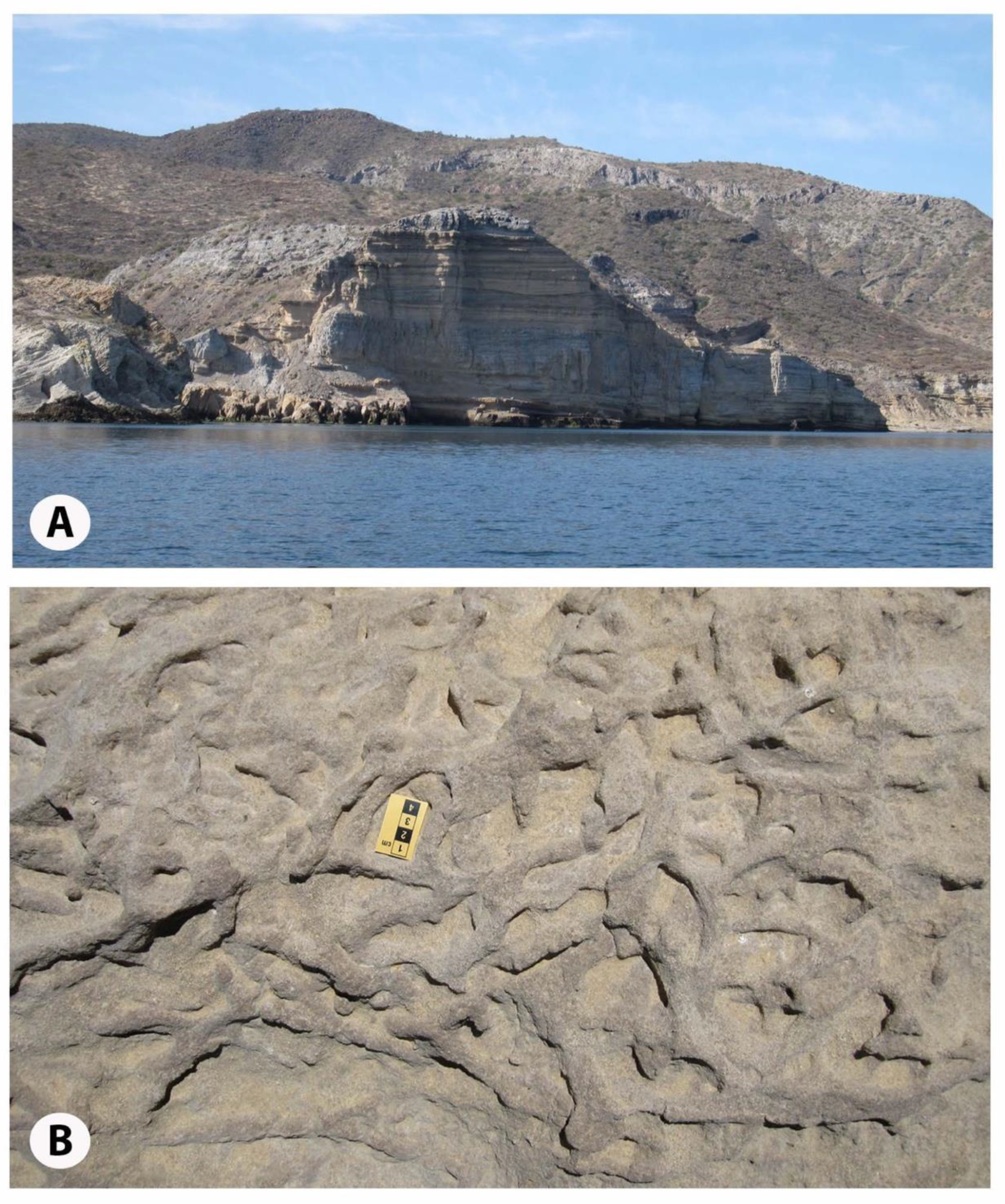 Geosciences 09 00087 g006