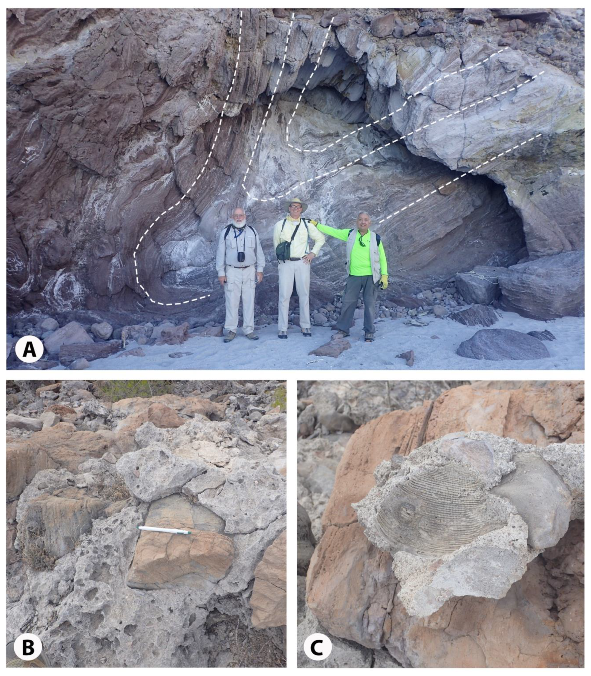 Geosciences 09 00087 g007