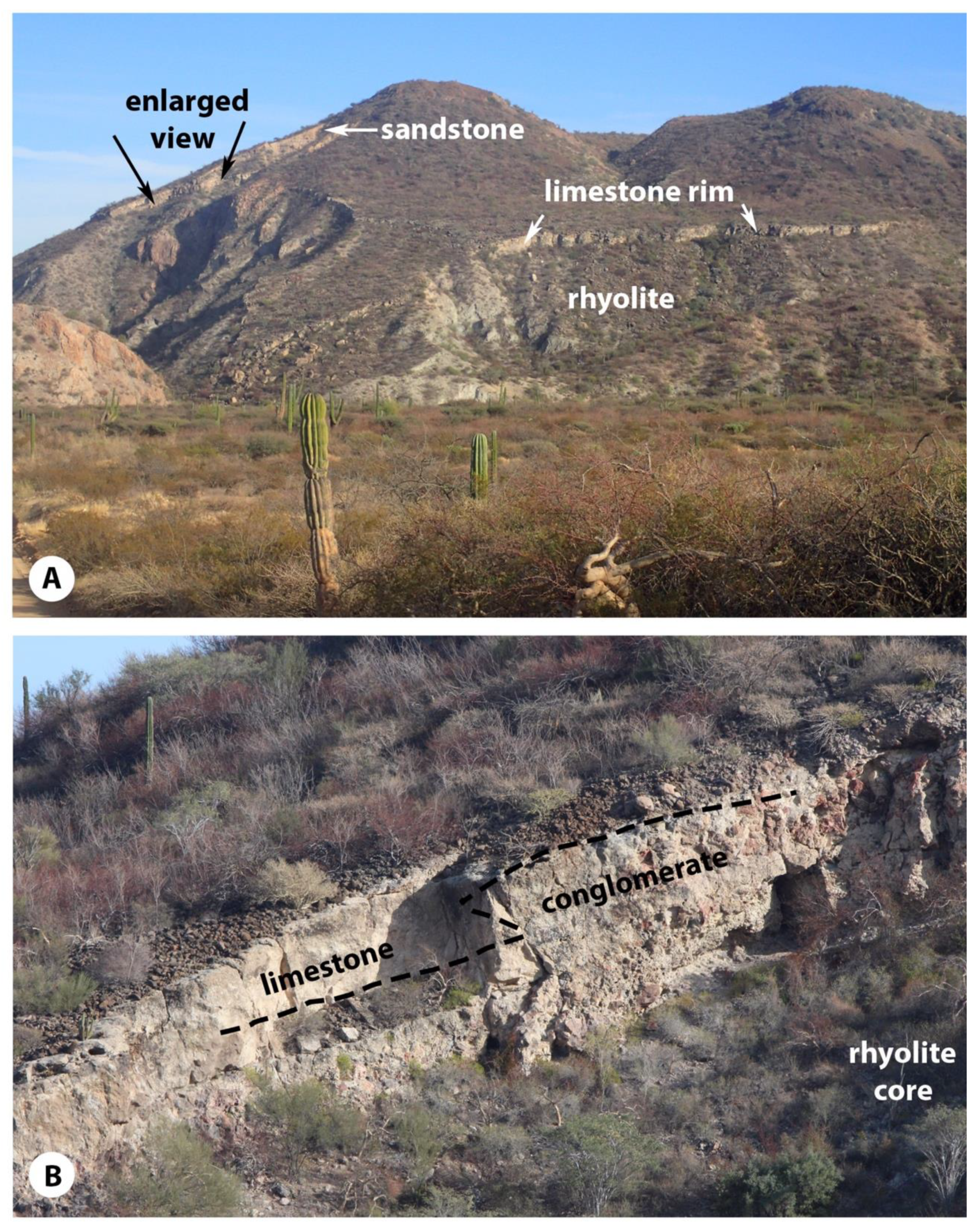 Geosciences 09 00087 g010