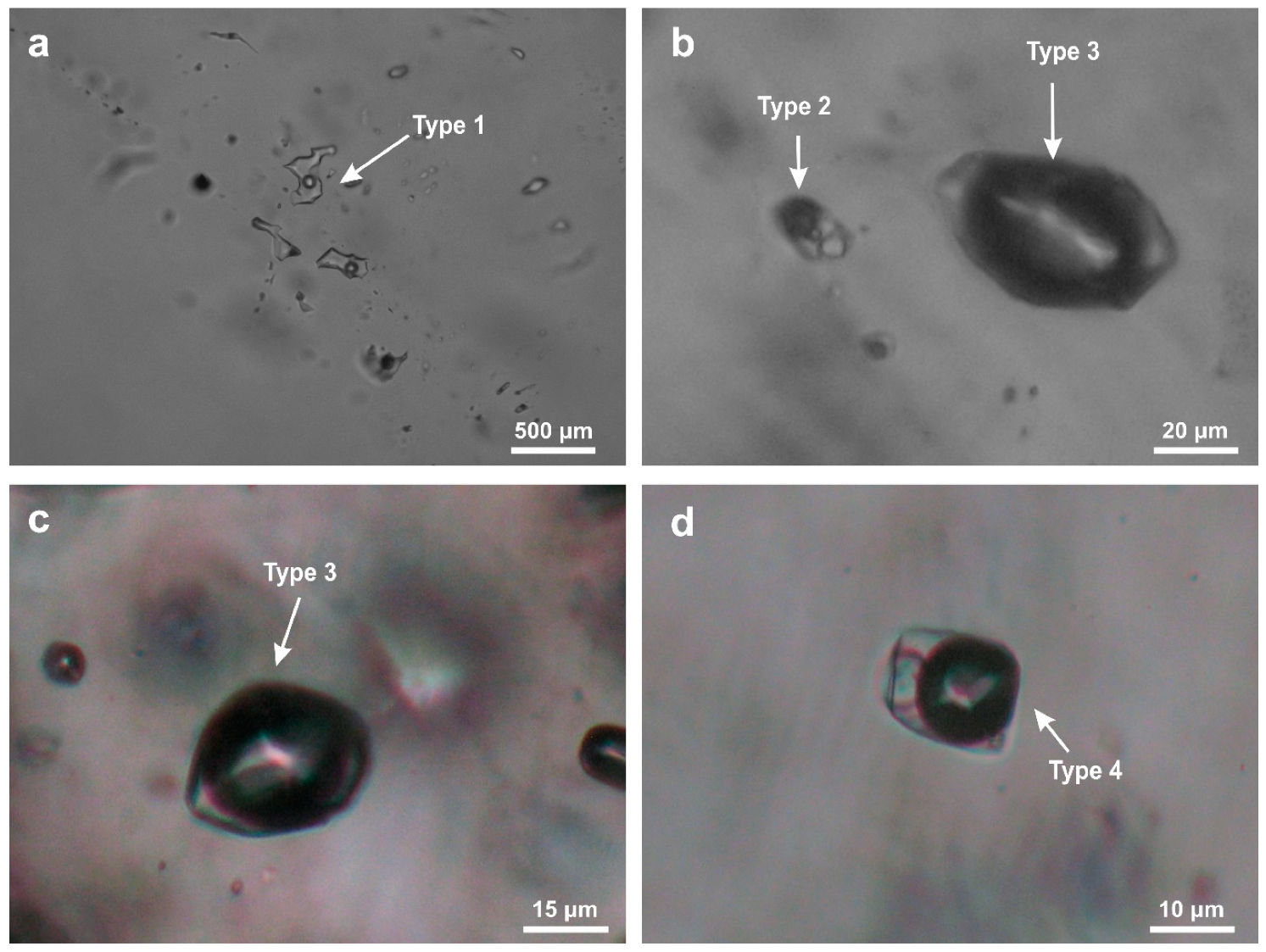 Geosciences 09 00088 g004