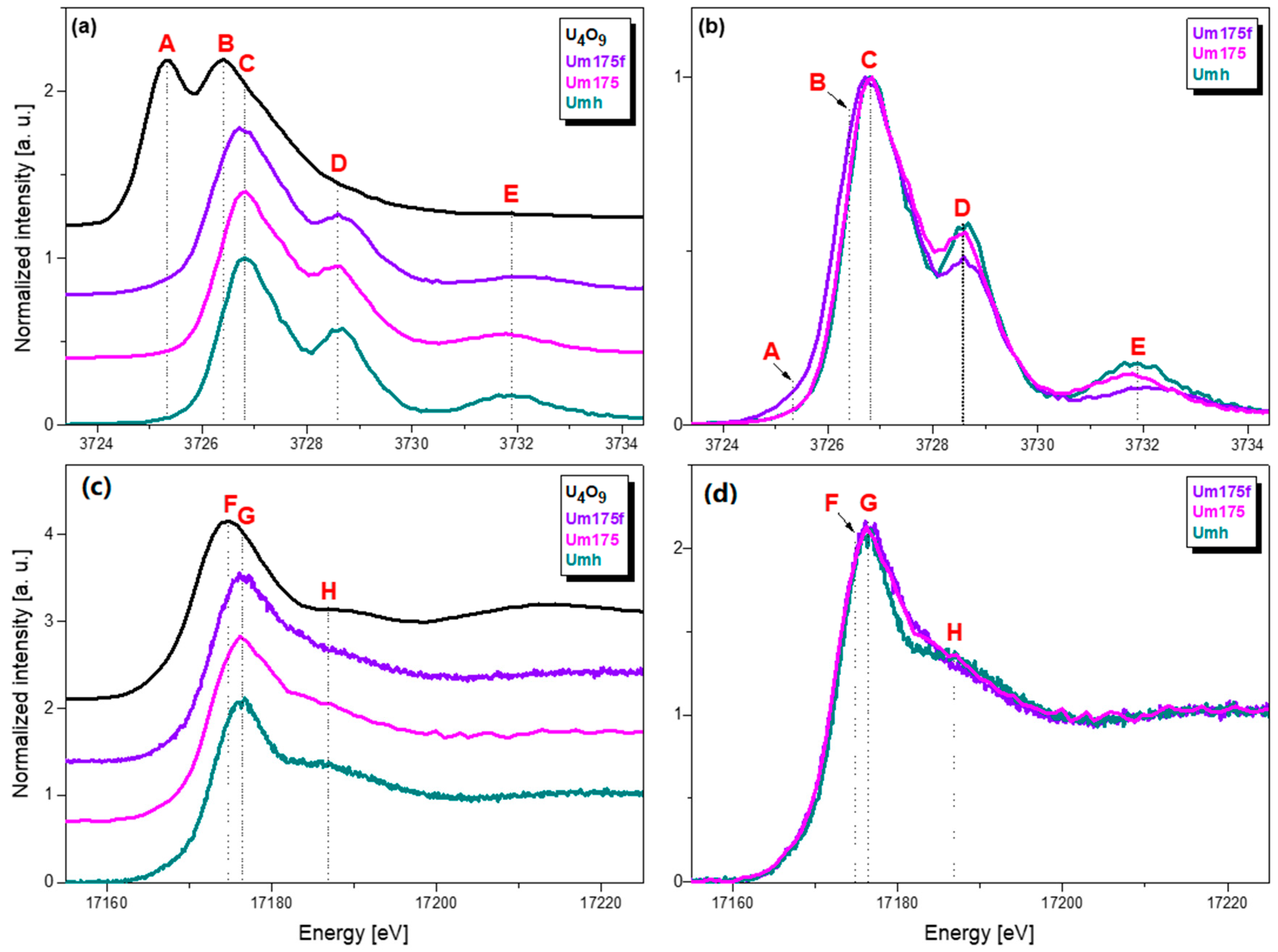 Geosciences 09 00091 g010