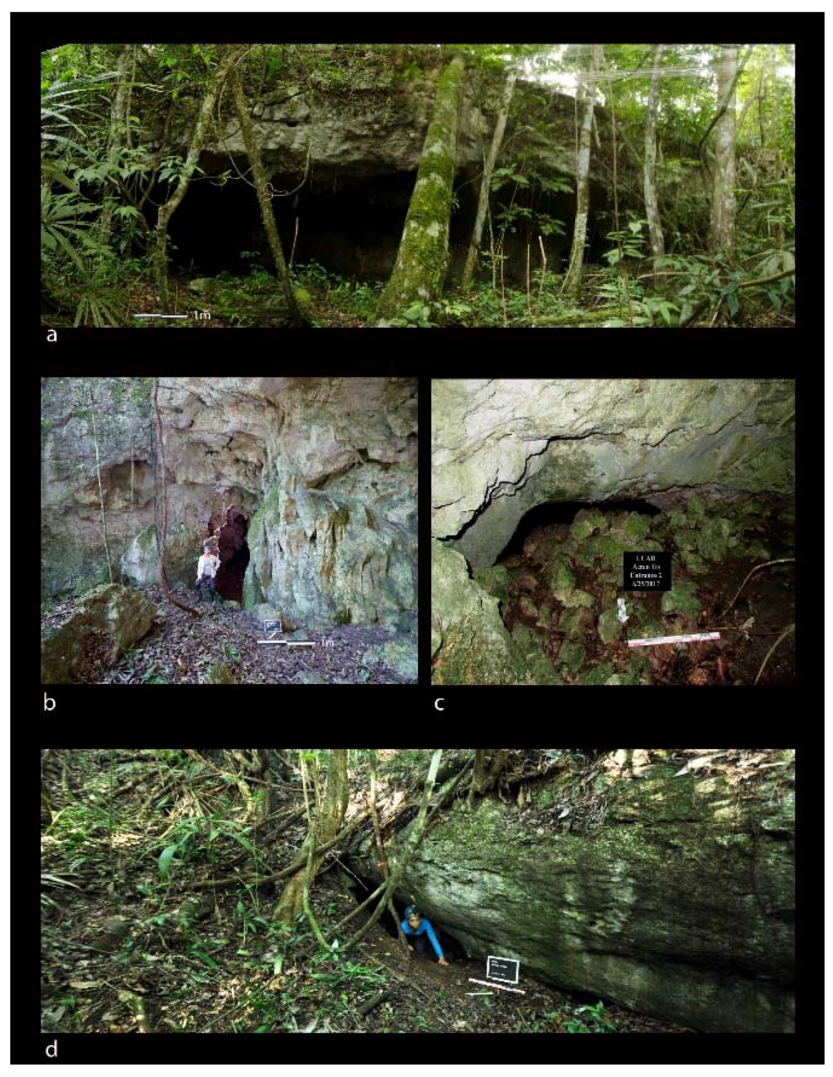 Geosciences 09 00098 g005