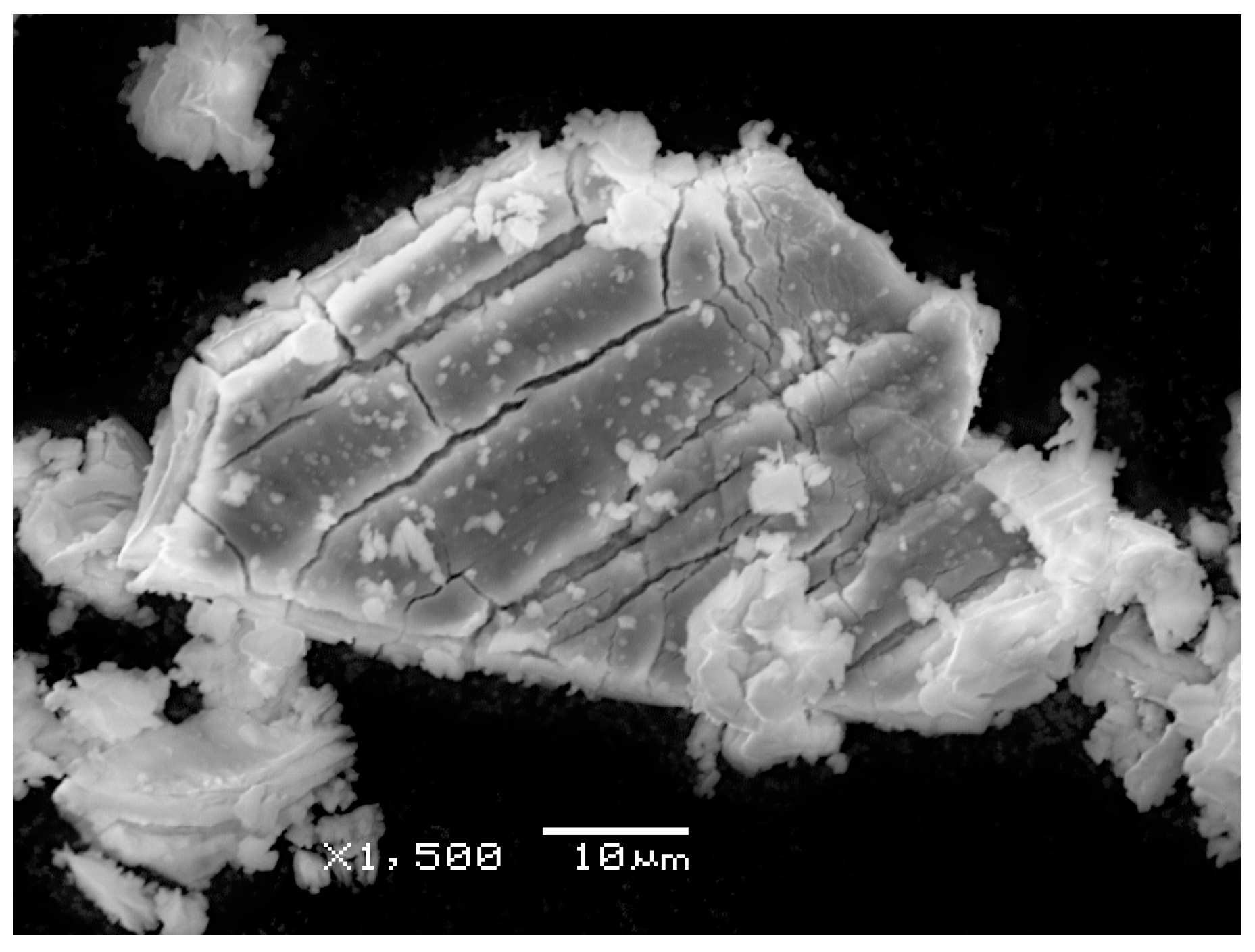 Geosciences 09 00101 g006