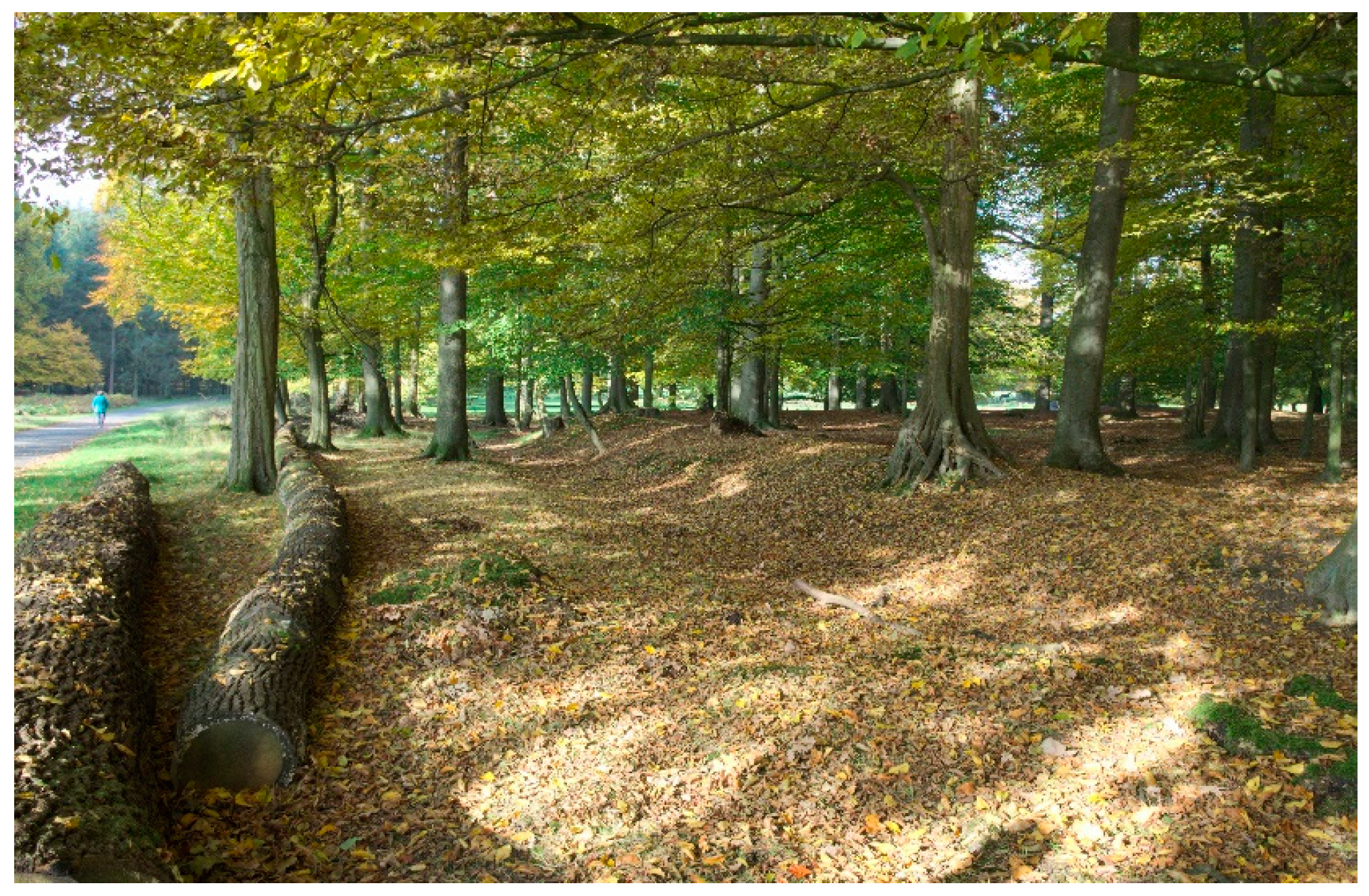 Geosciences 09 00109 g004