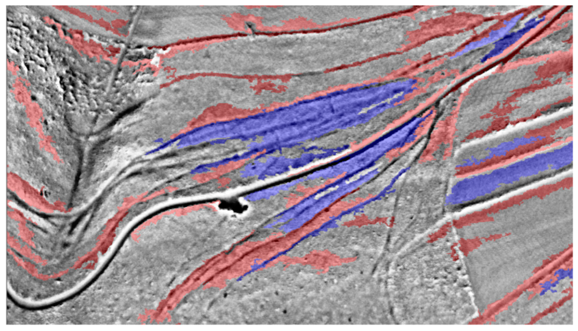 Geosciences 09 00109 g016