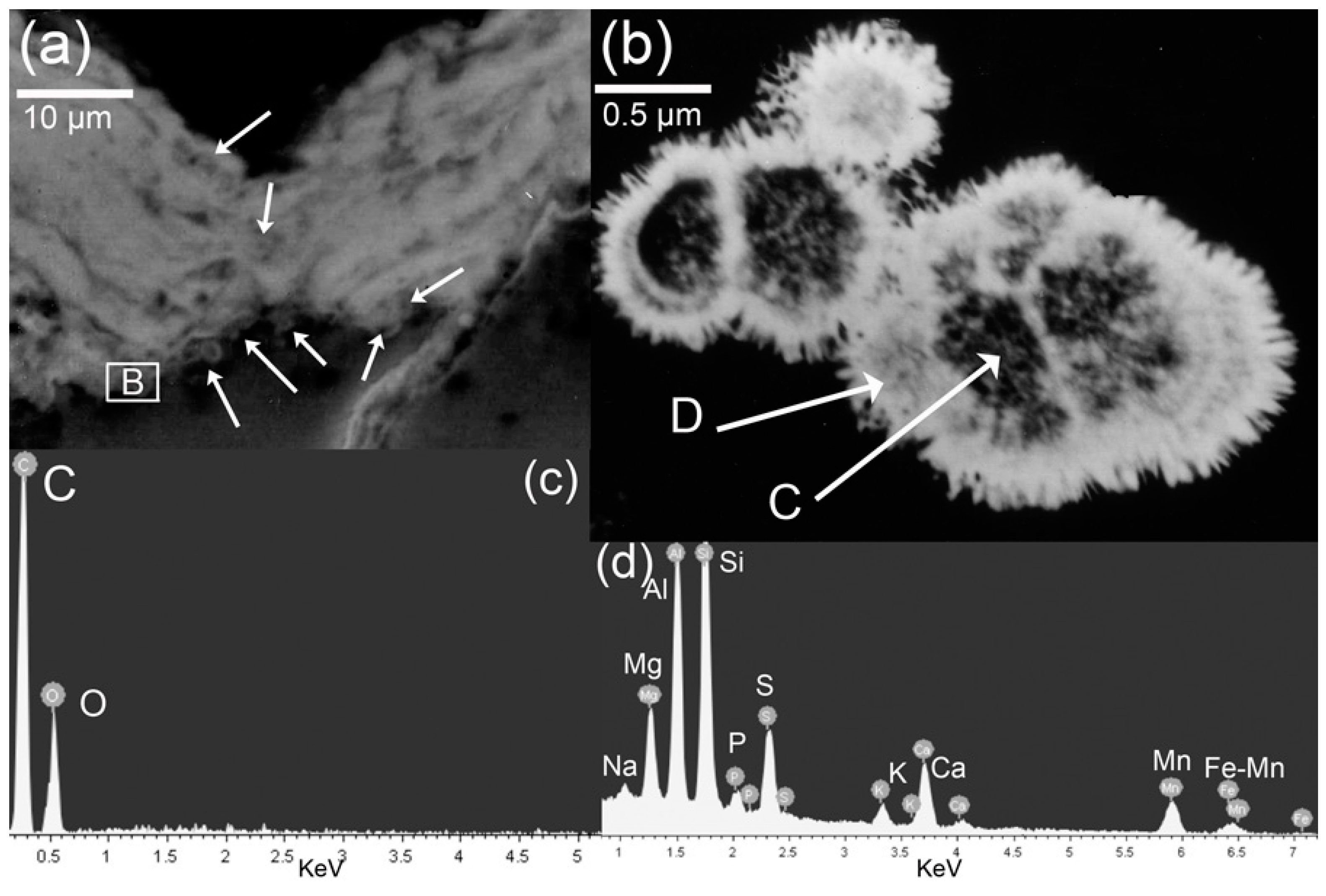 Geosciences 09 00121 g007