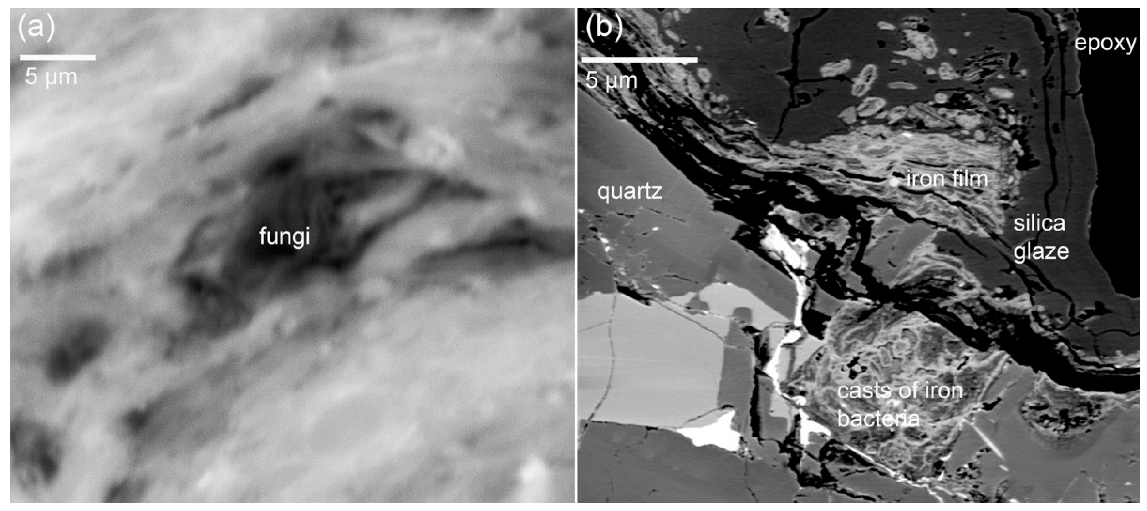 Geosciences 09 00121 g012