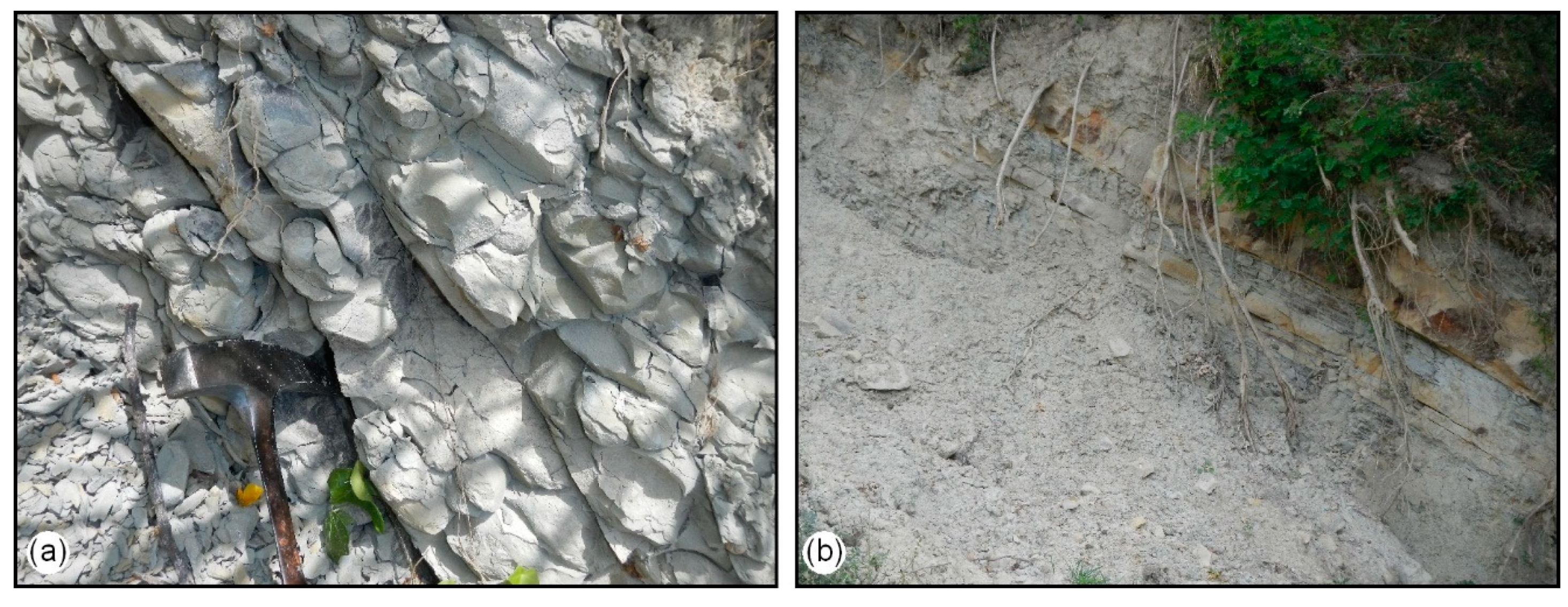 Geosciences 09 00122 g007