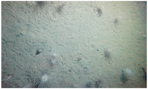 Geosciences 09 00126 i001 Geosciences 09 00126 i001