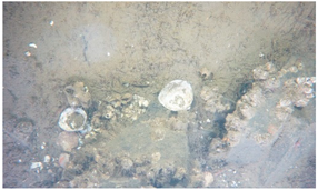 Geosciences 09 00126 i002 Geosciences 09 00126 i002