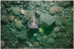 Geosciences 09 00126 i003 Geosciences 09 00126 i003