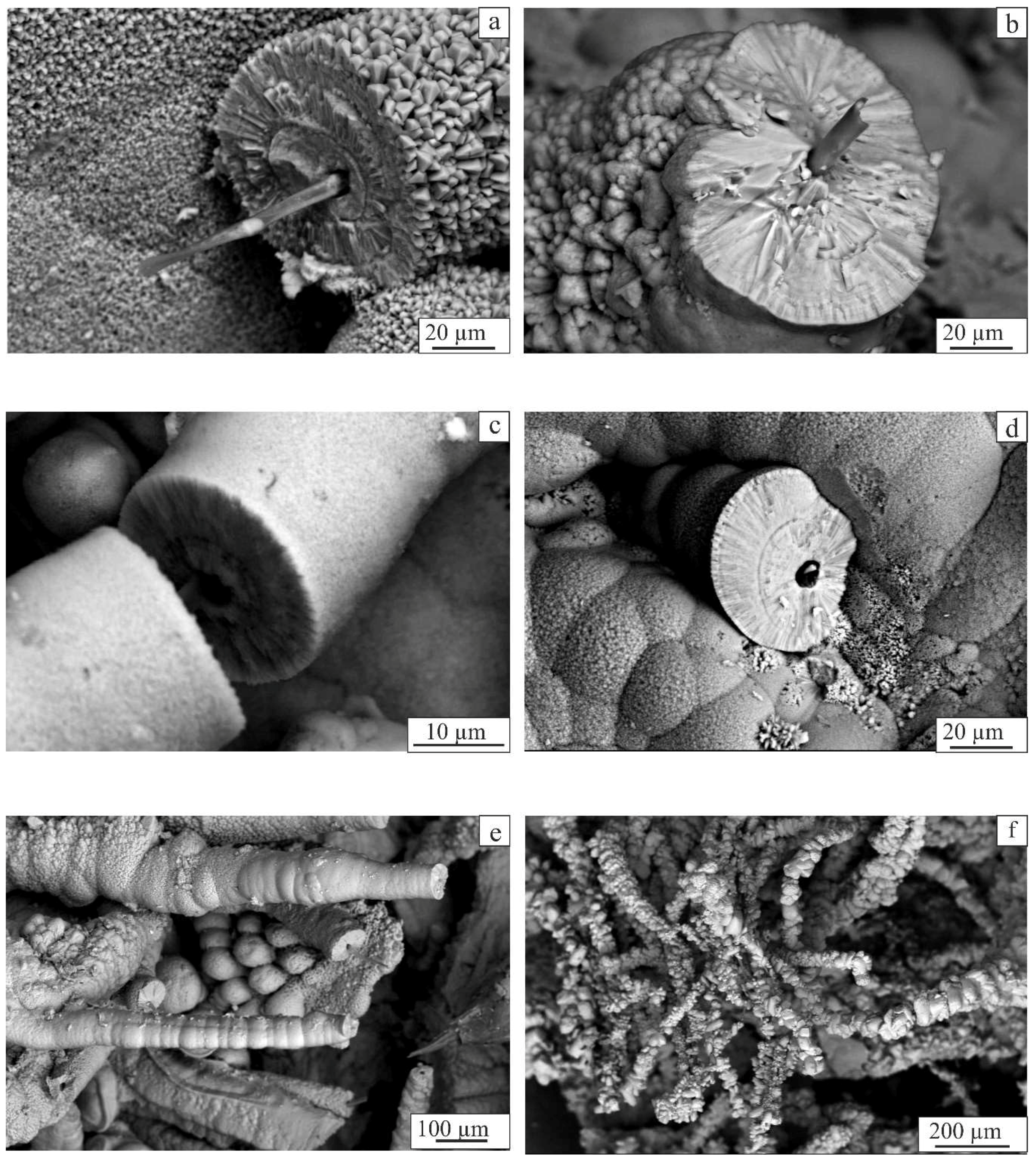 Geosciences 09 00128 g007