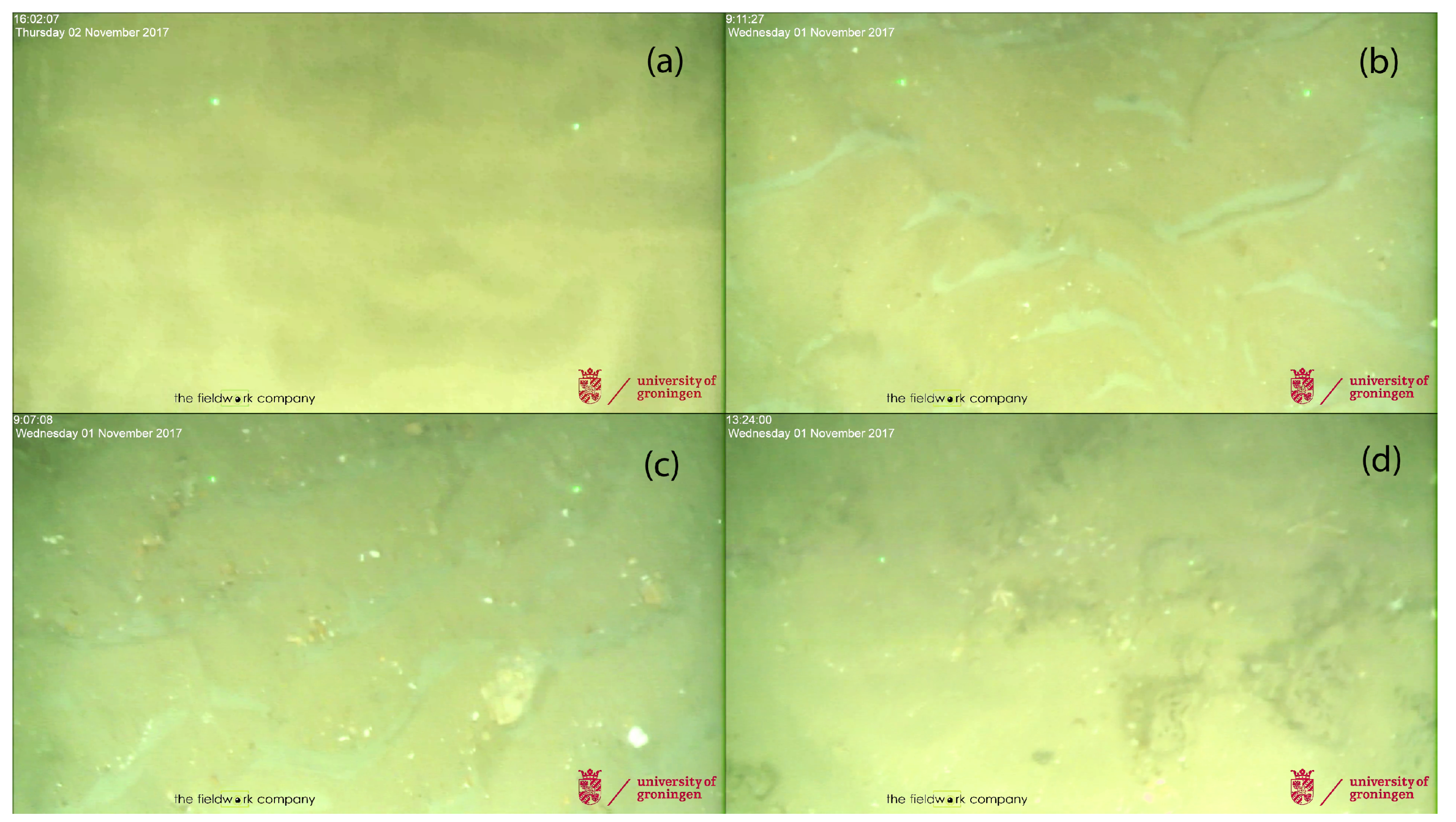 Geosciences 09 00142 g008