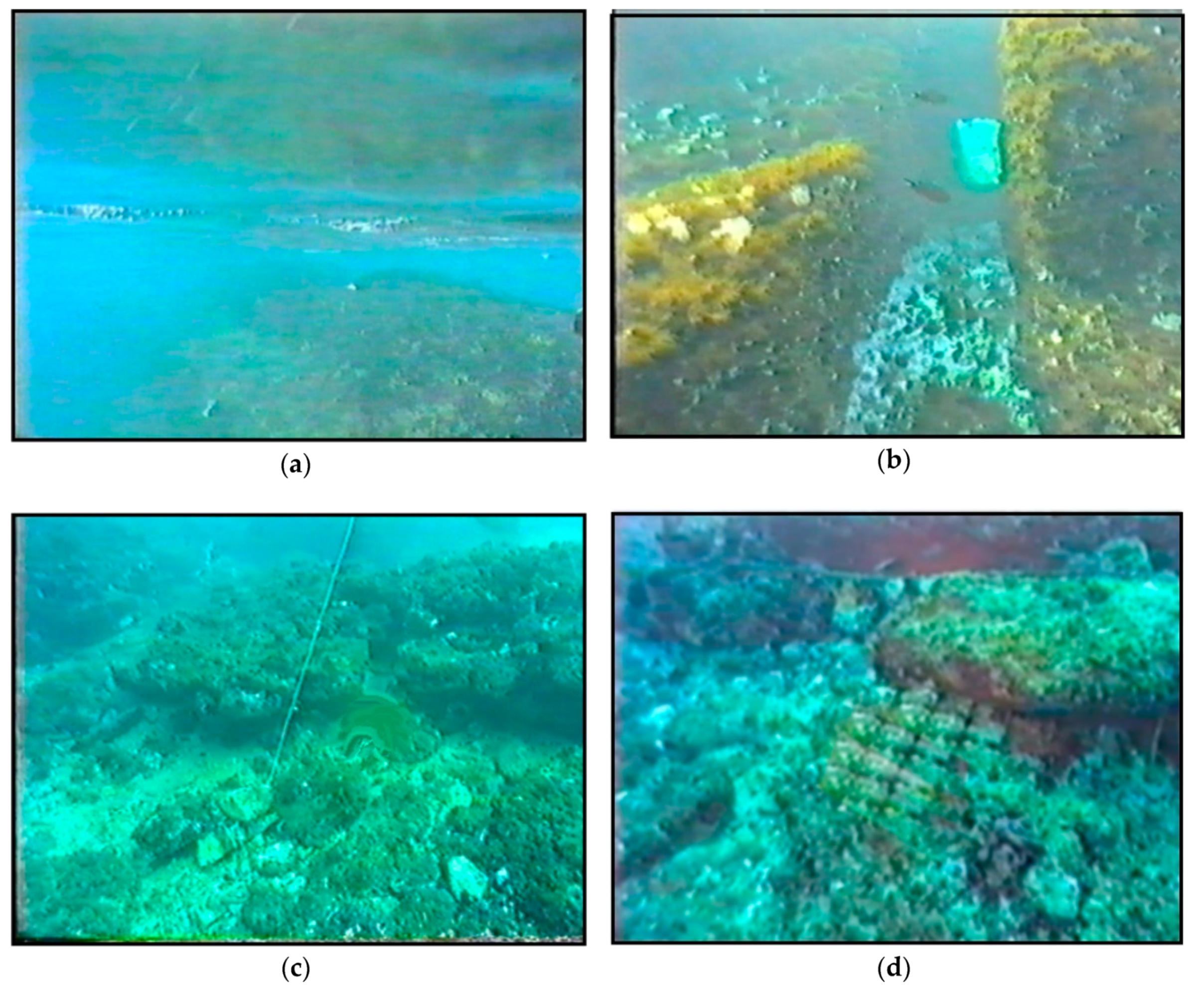 Geosciences 09 00170 g004