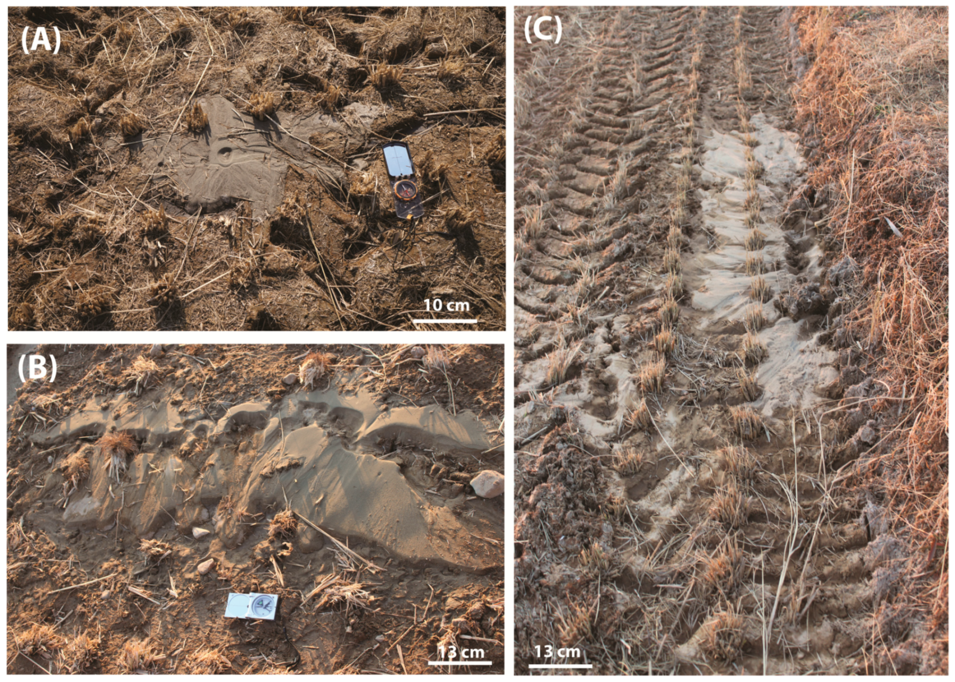 Geosciences 09 00173 g005