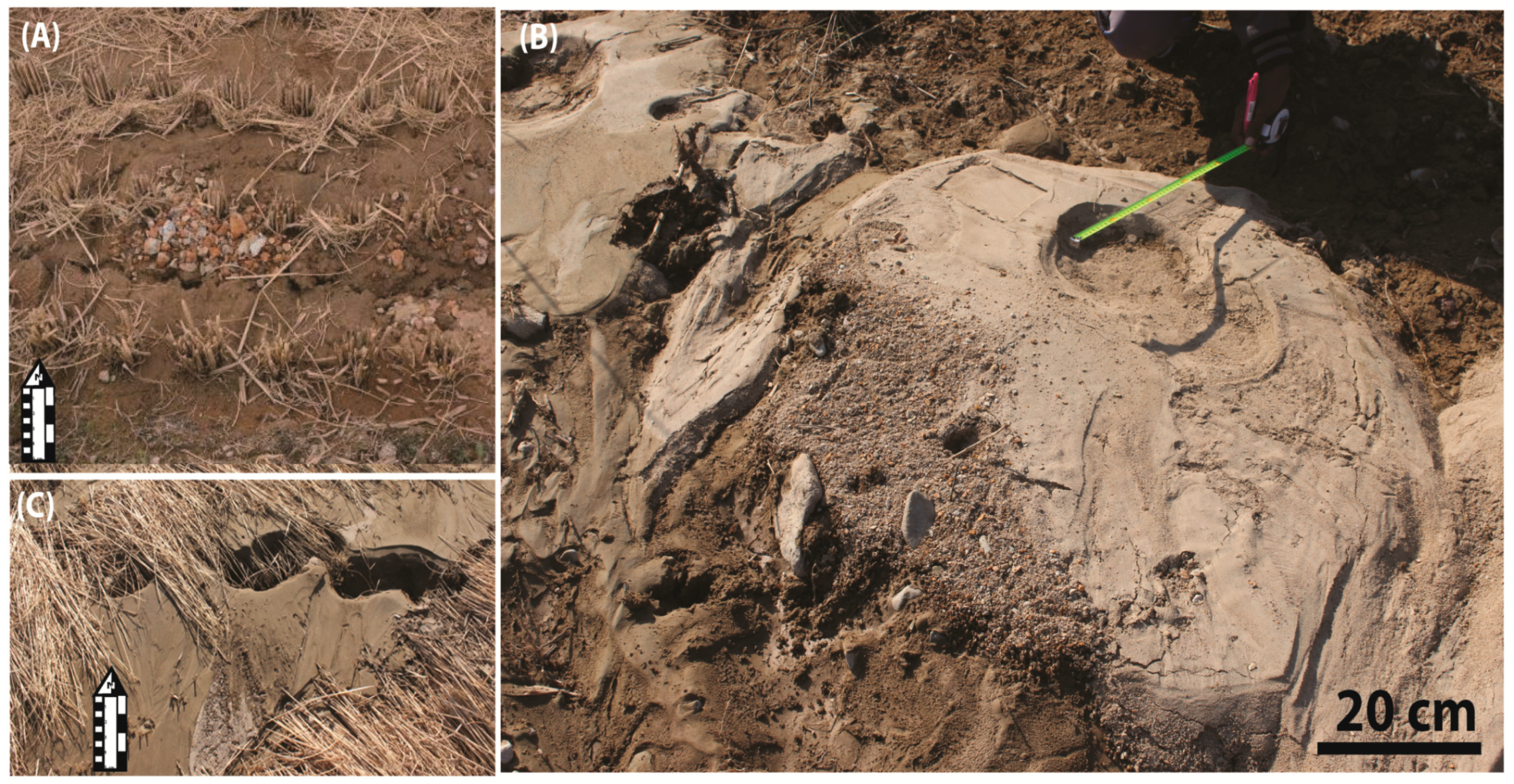 Geosciences 09 00173 g009