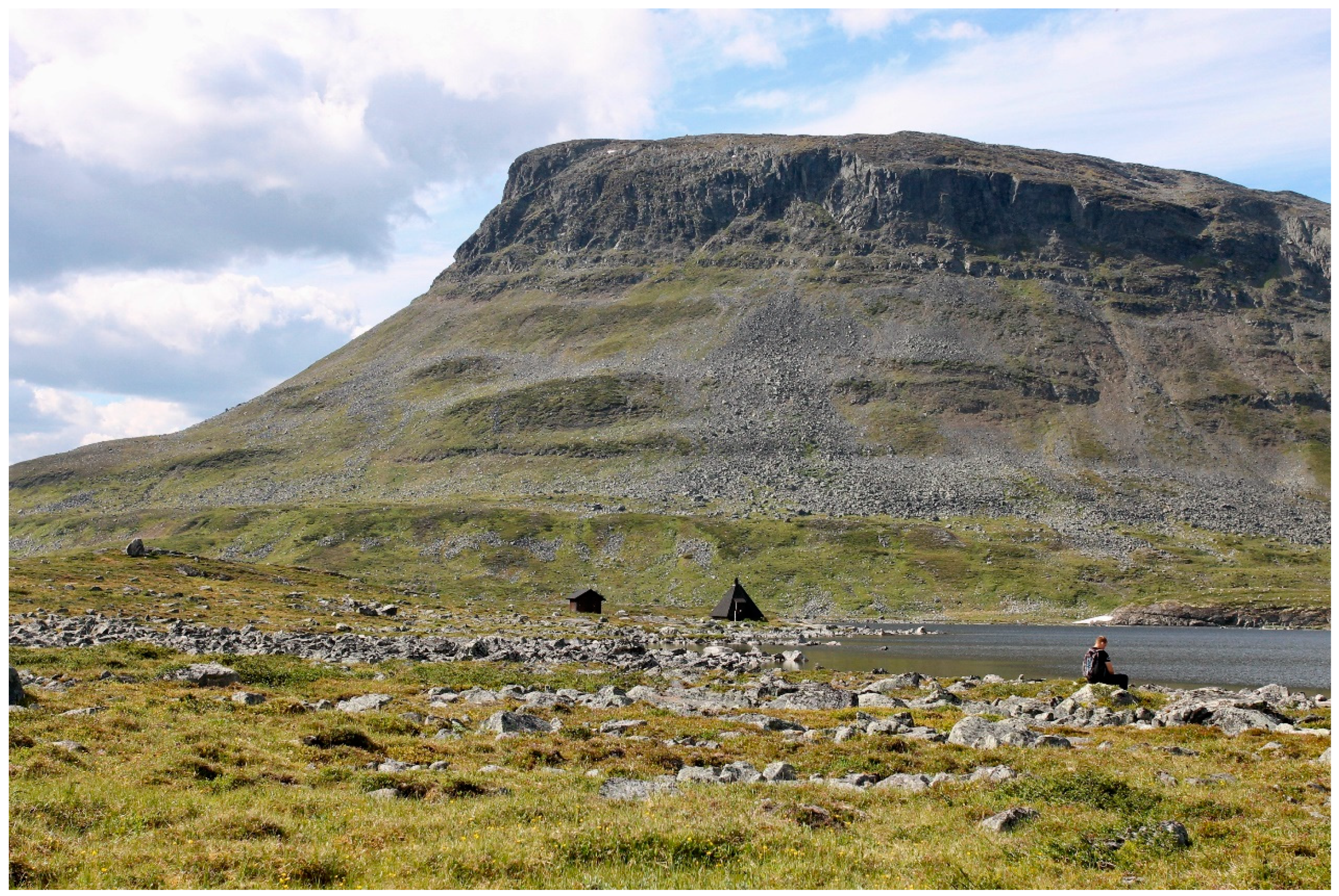 Geosciences 09 00174 g002