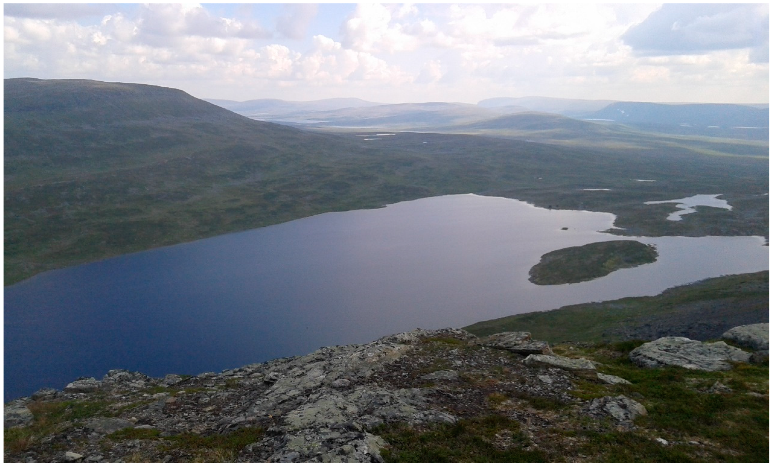 Geosciences 09 00174 g003