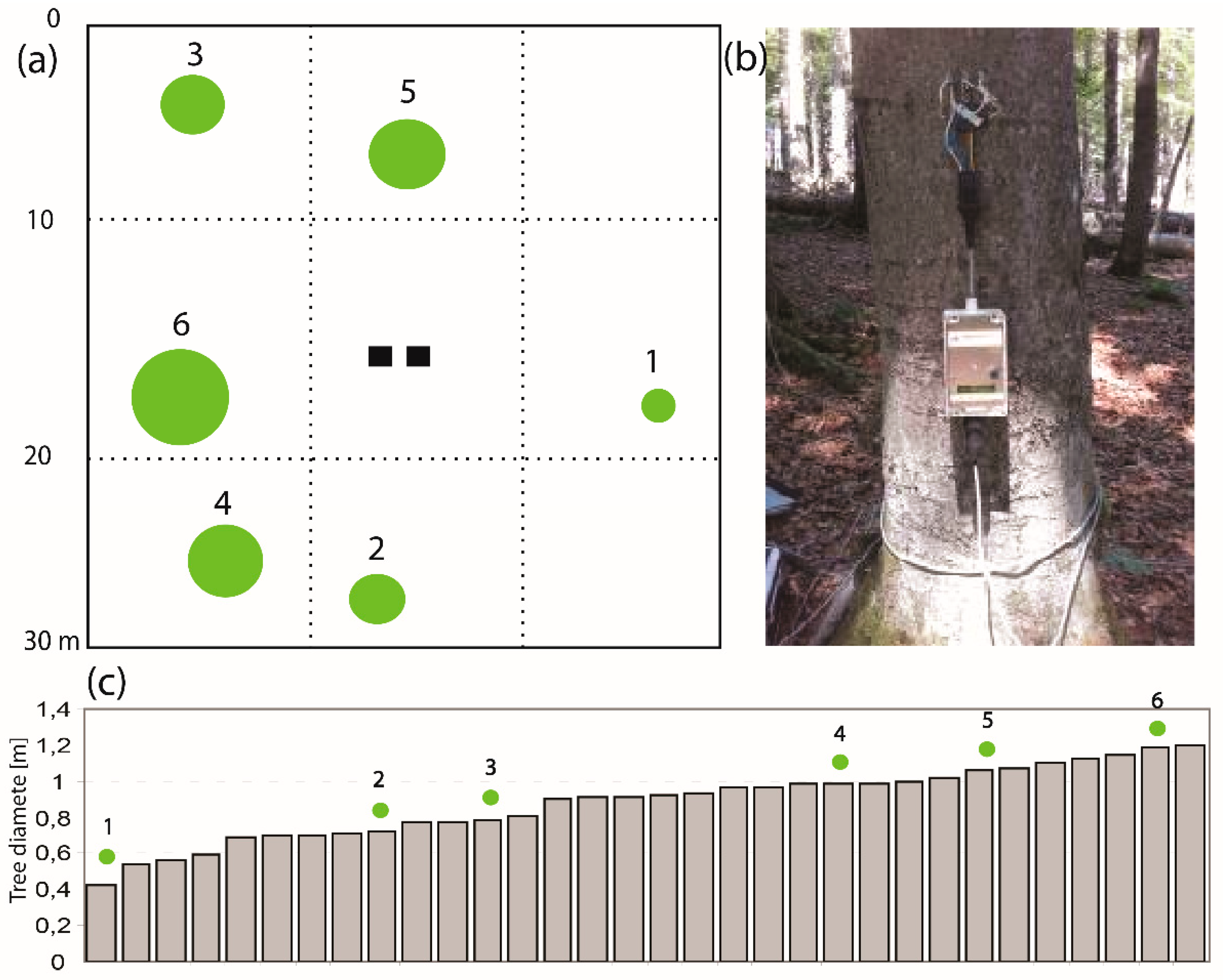 Geosciences 09 00243 g003