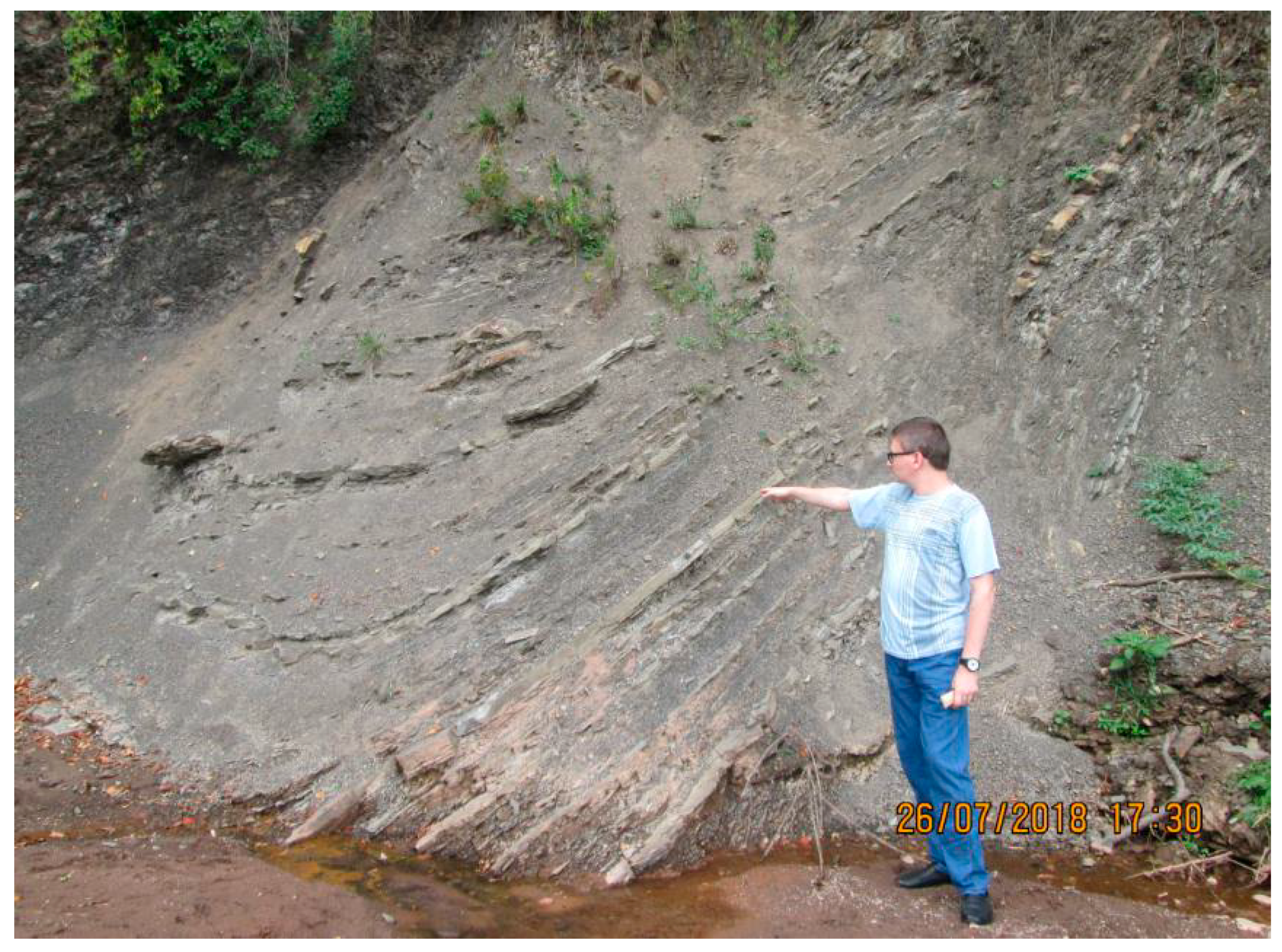 Geosciences 09 00275 g001