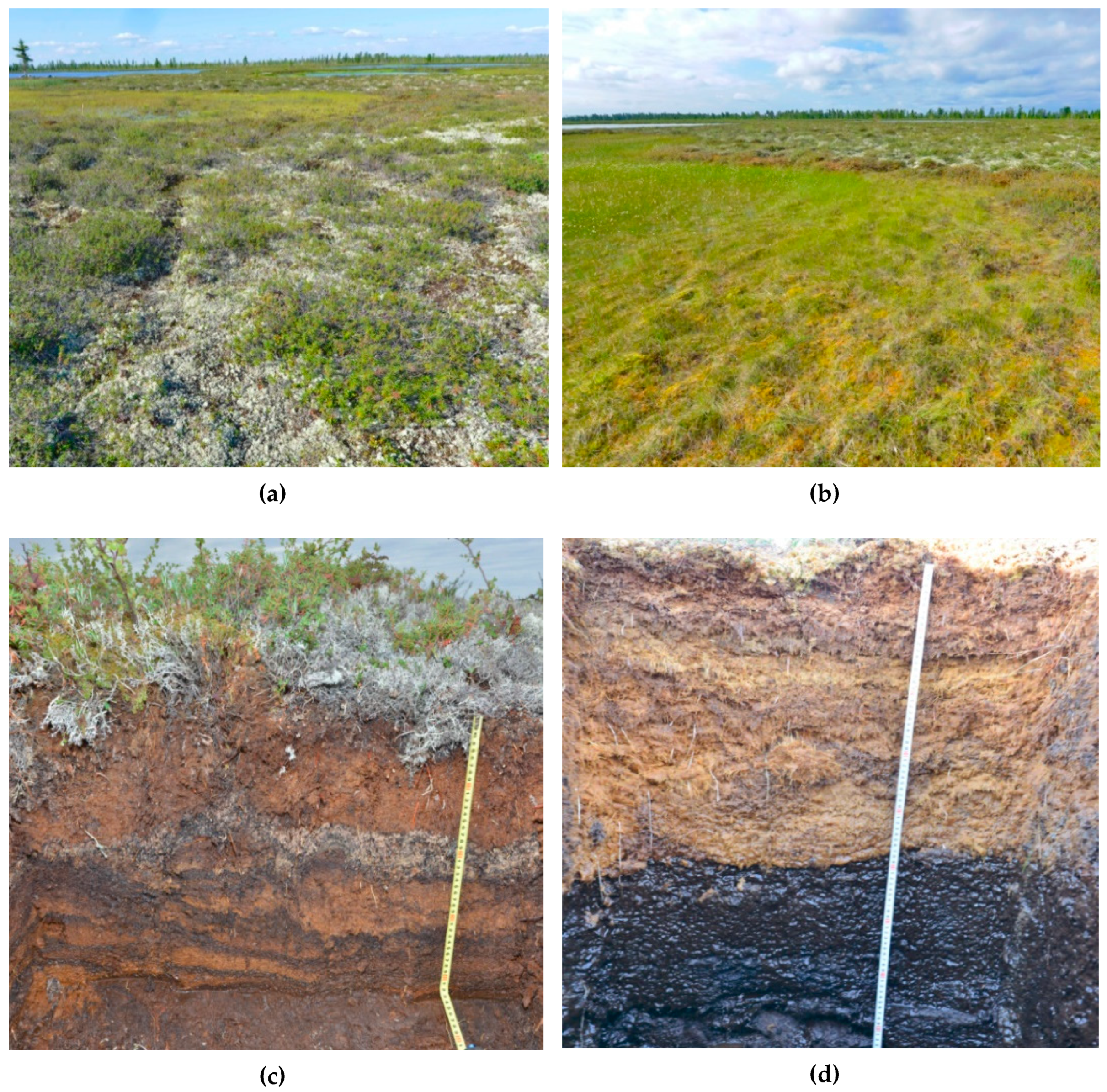 Geosciences 09 00291 g003