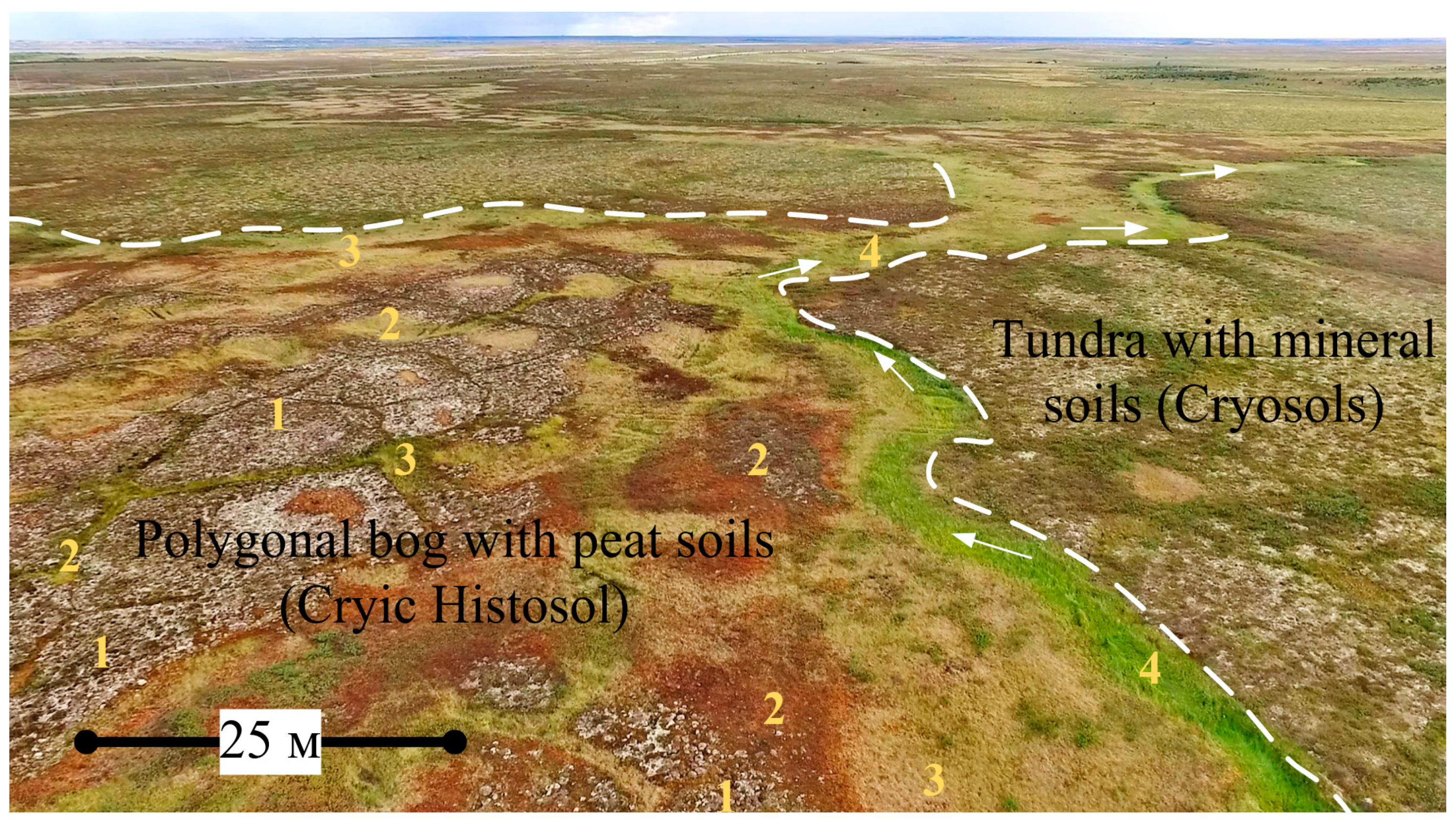 Geosciences 09 00291 g0a1