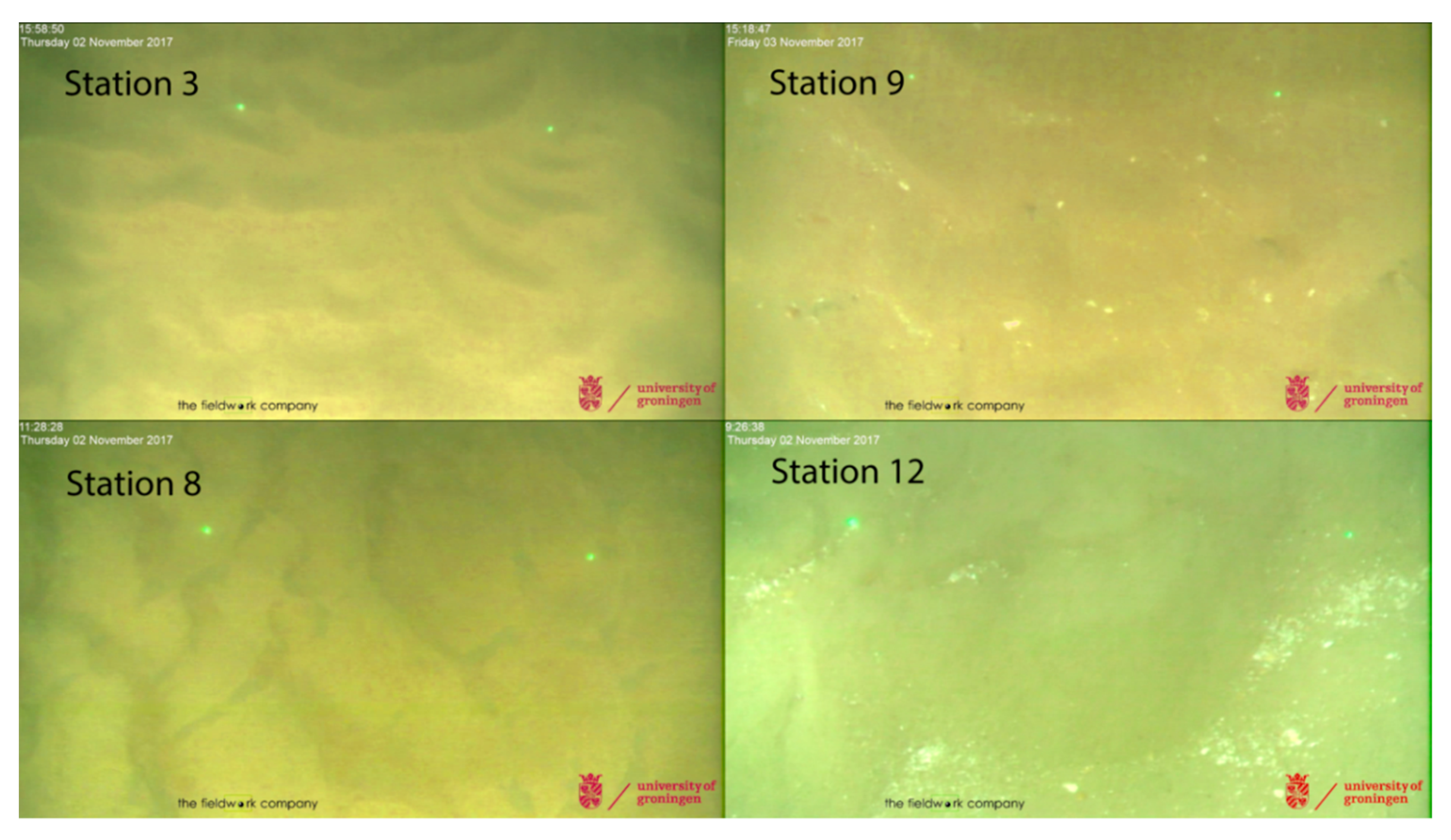 Geosciences 09 00292 g014