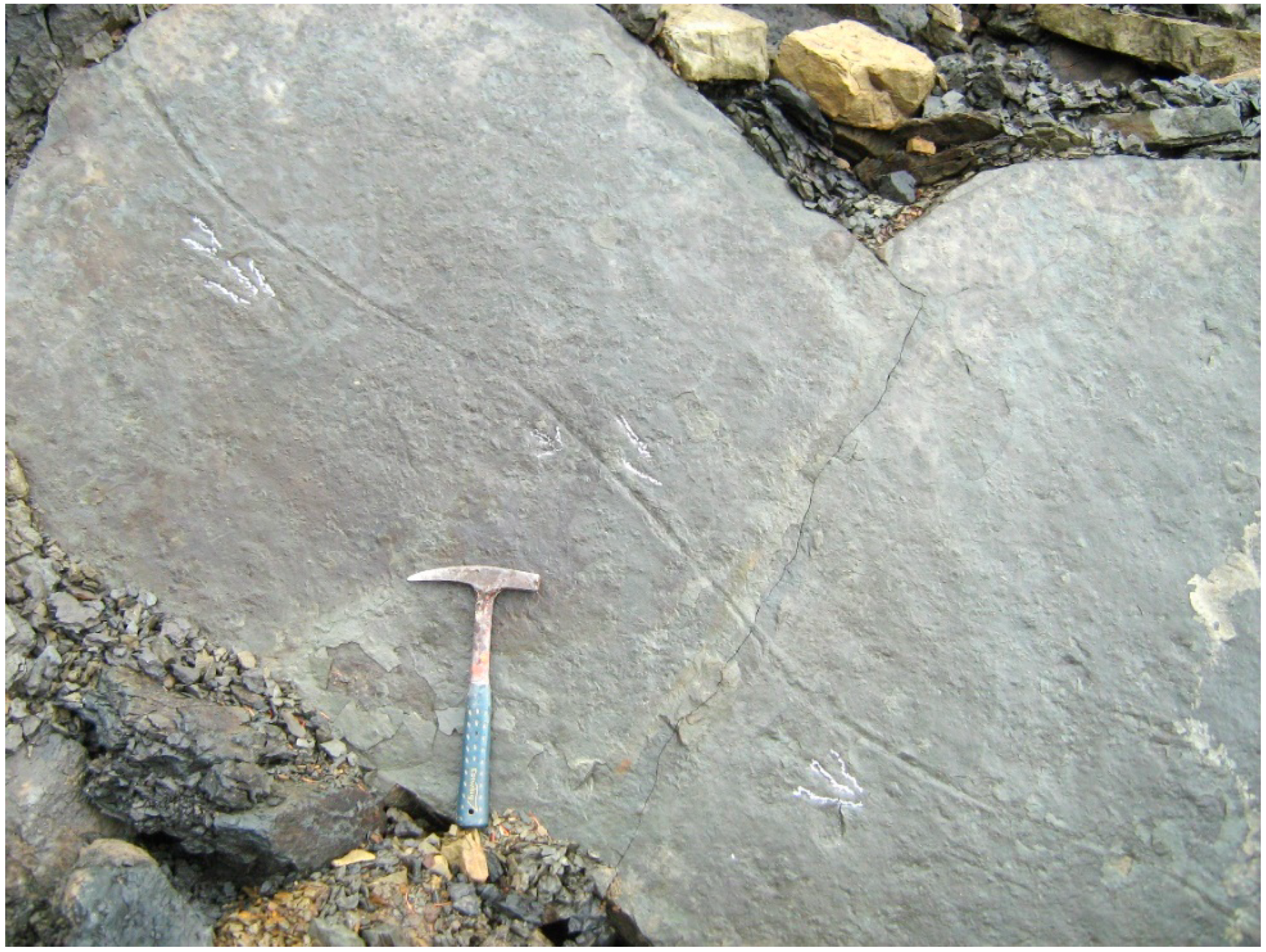 Geosciences 09 00321 g010 Geosciences 09 00321 g010